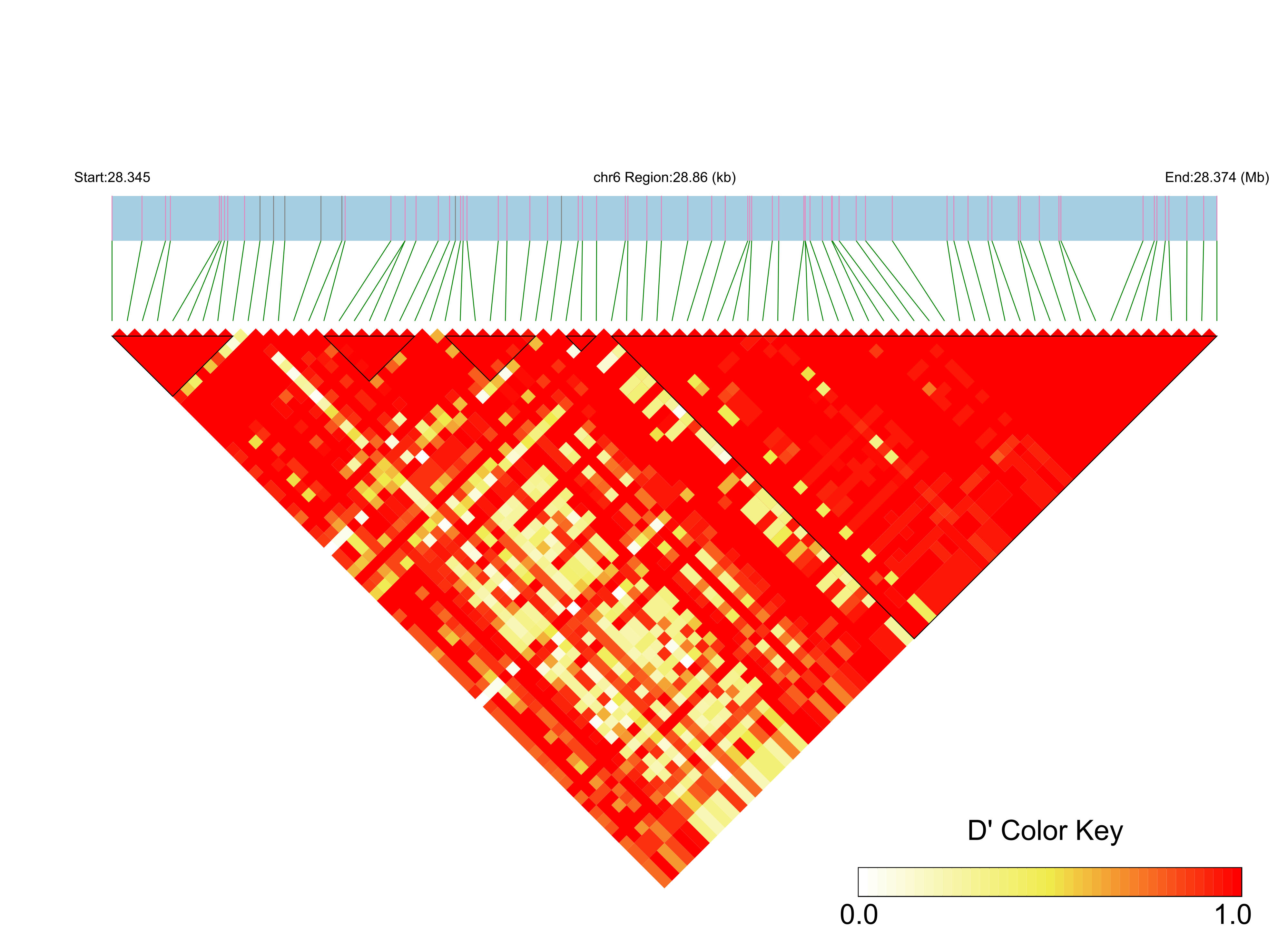 LD