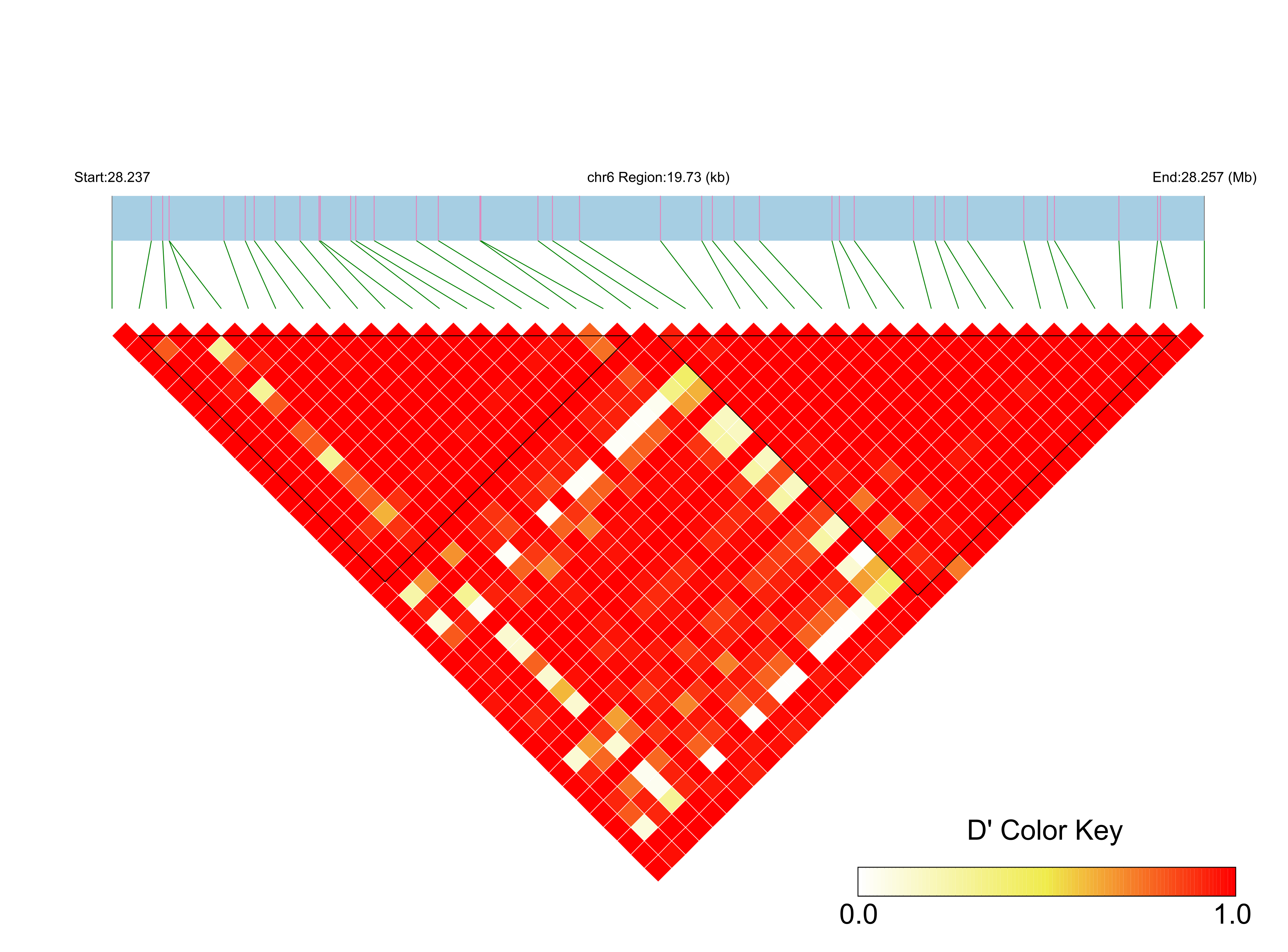 LD