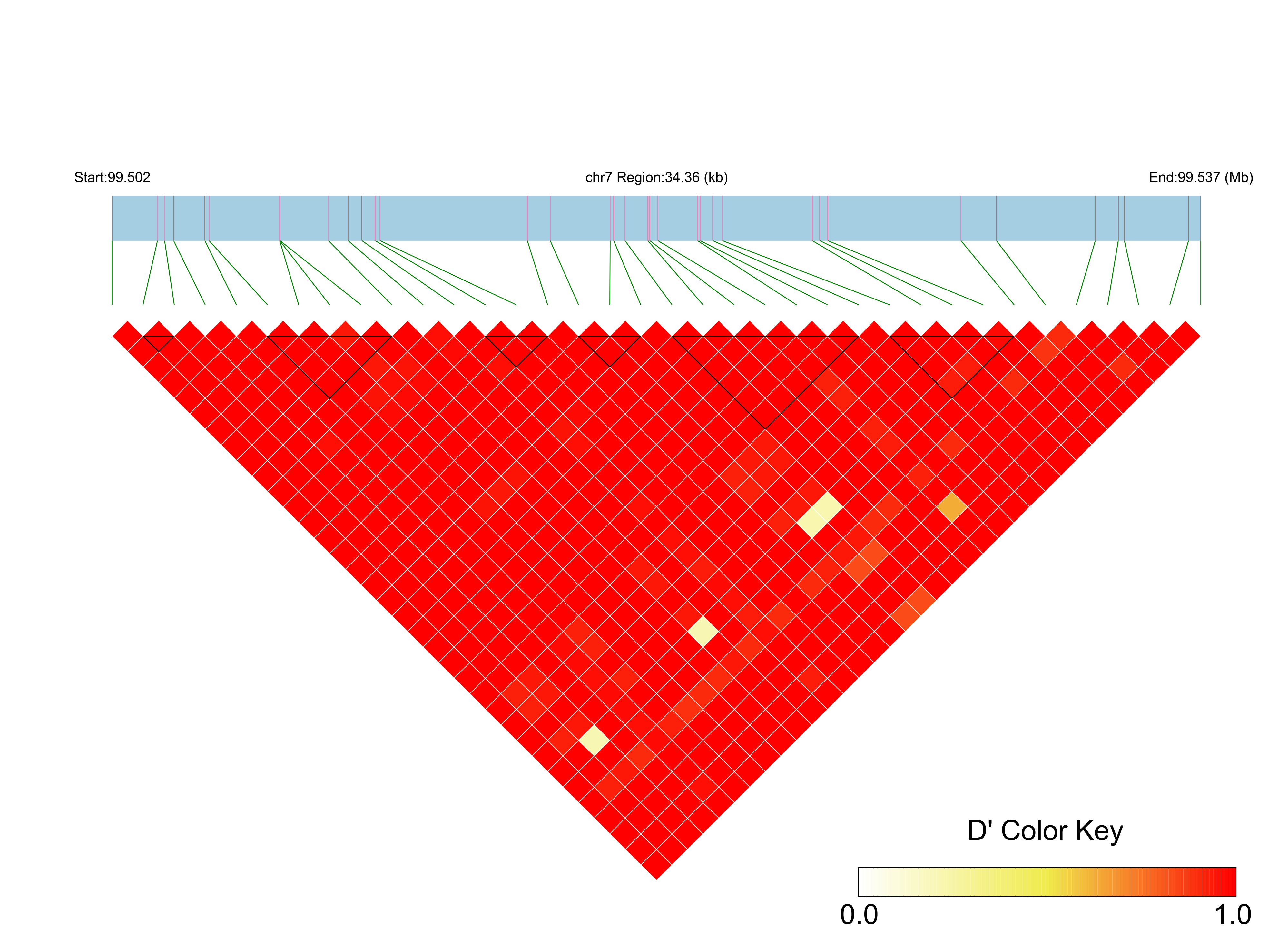 LD