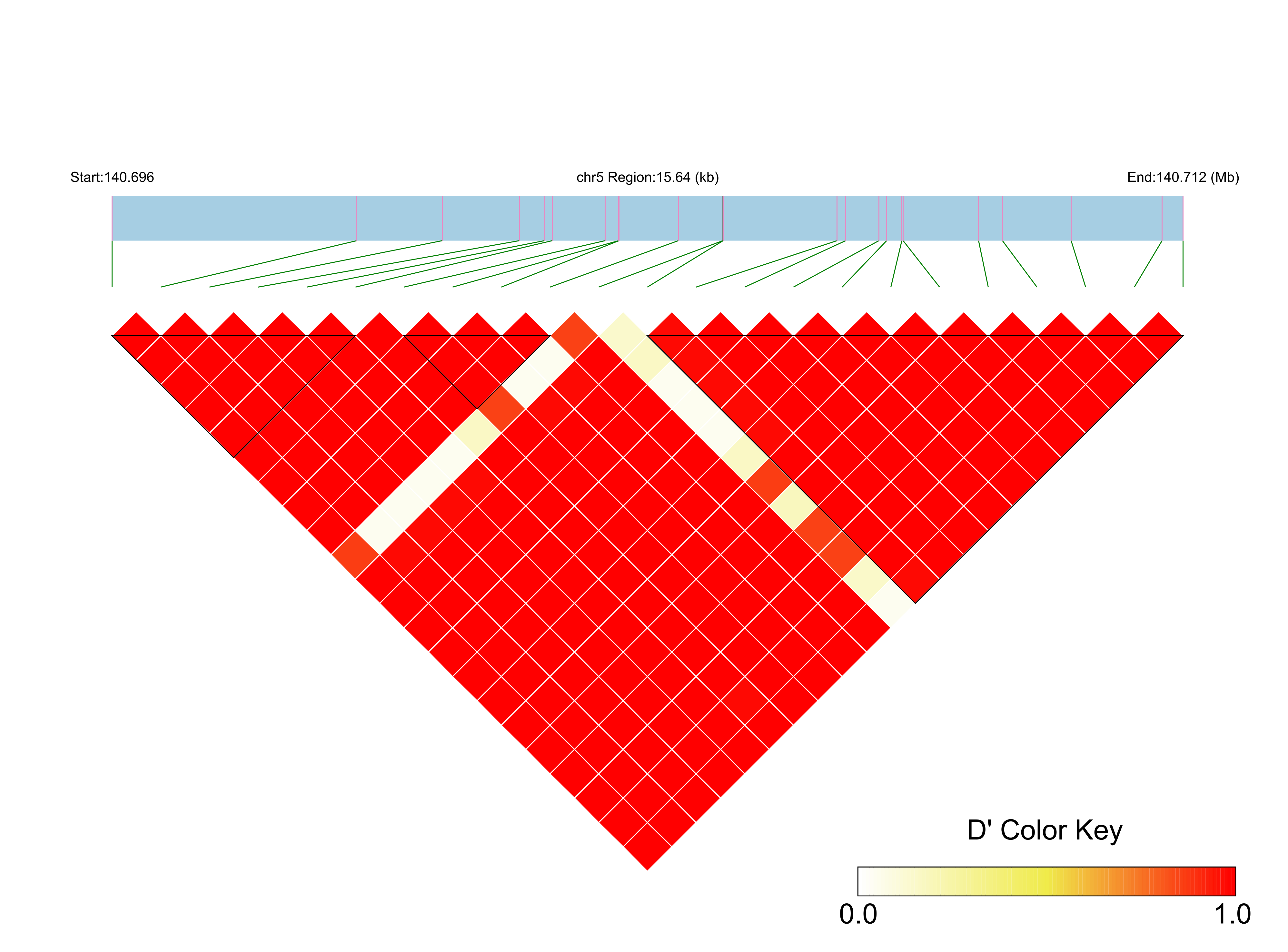 LD