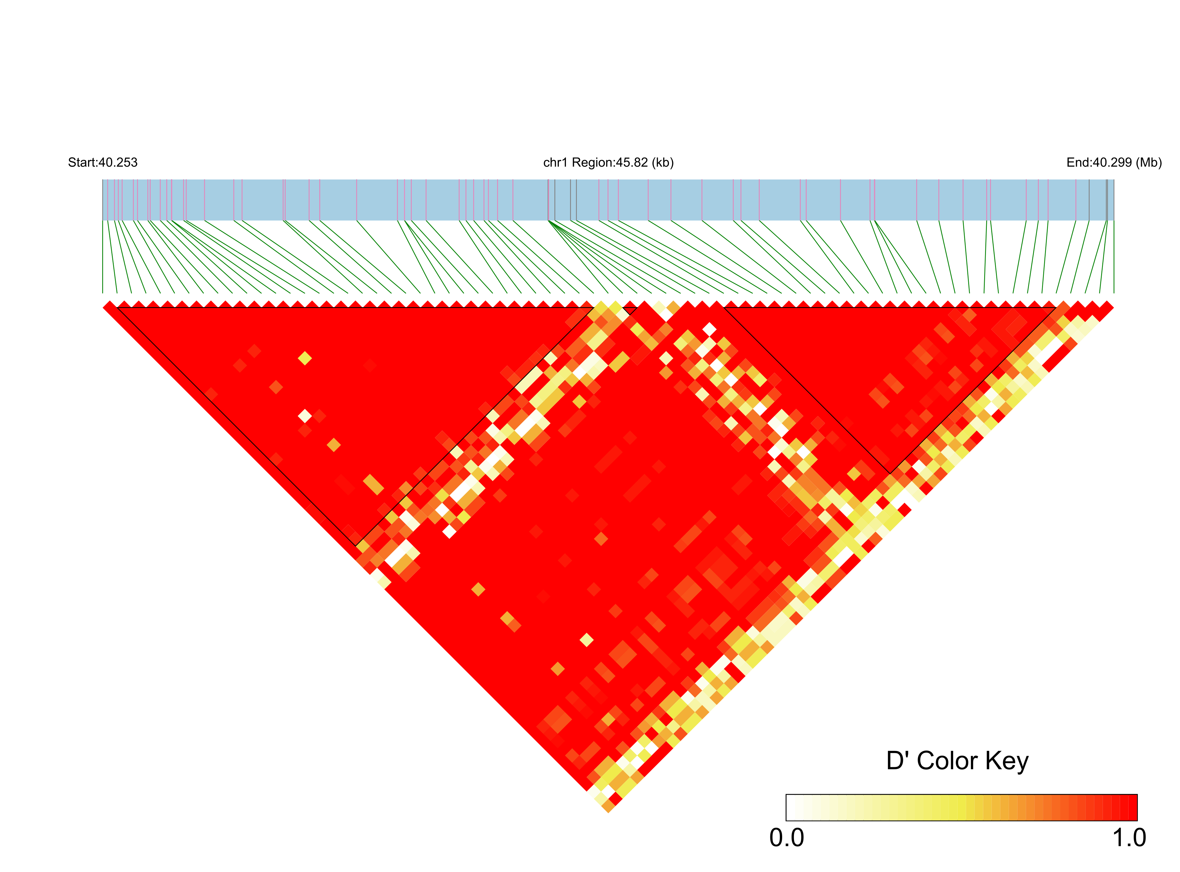LD
