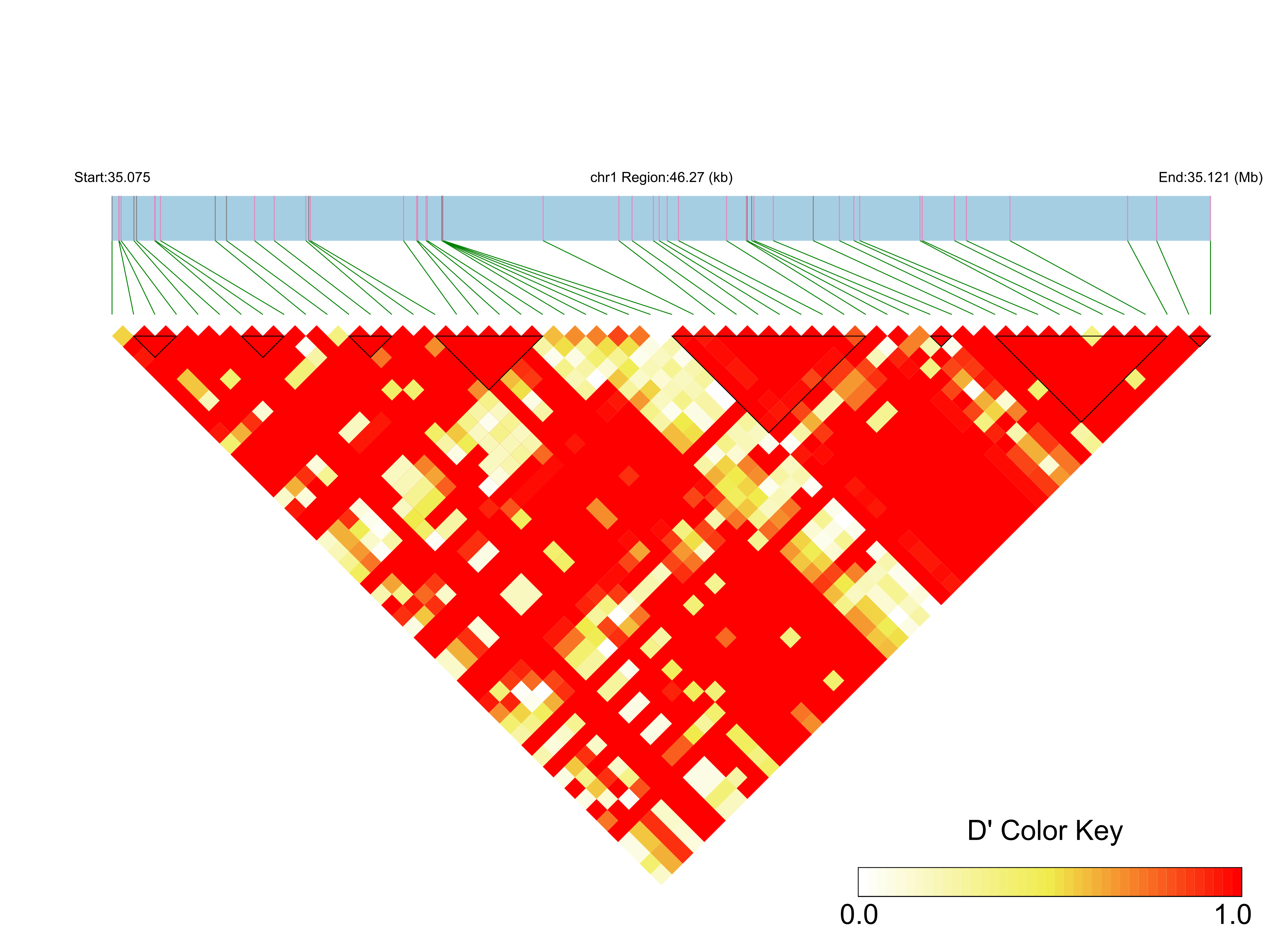 LD