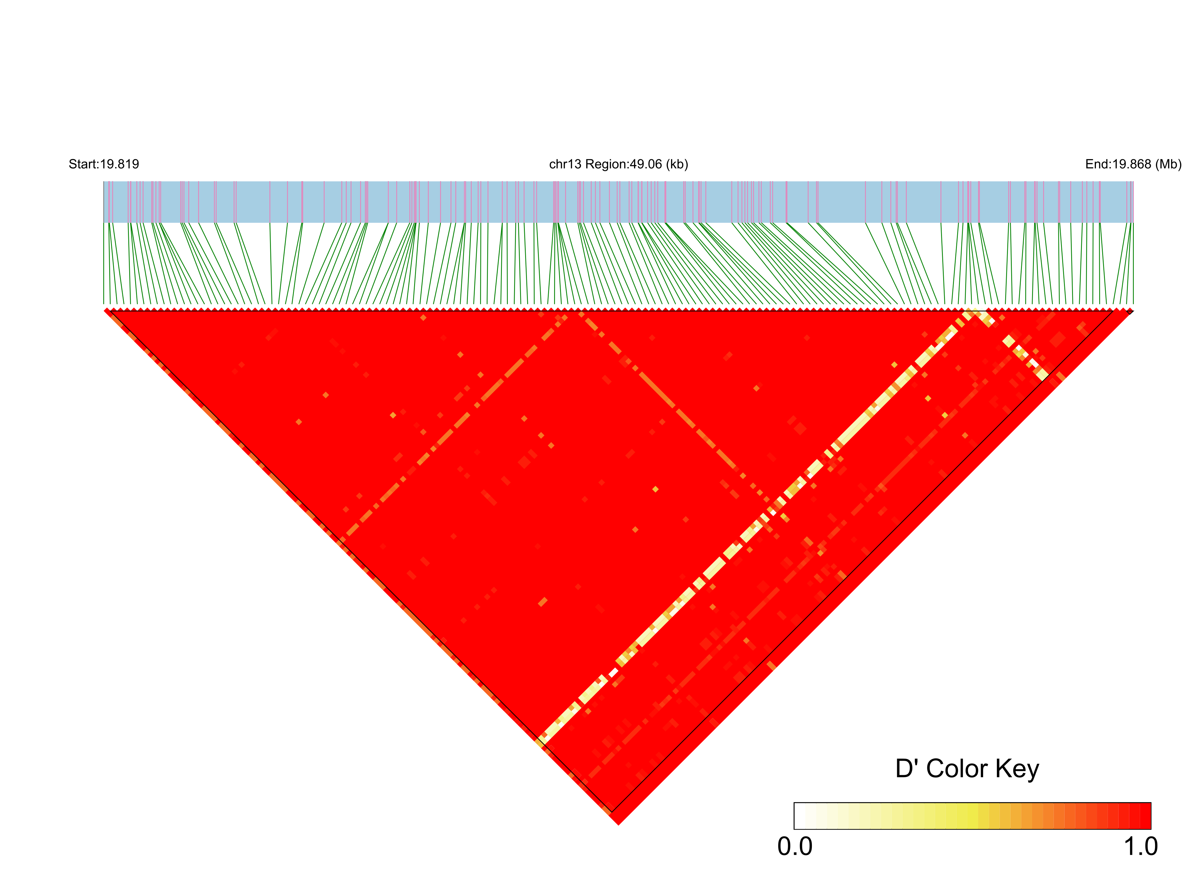 LD