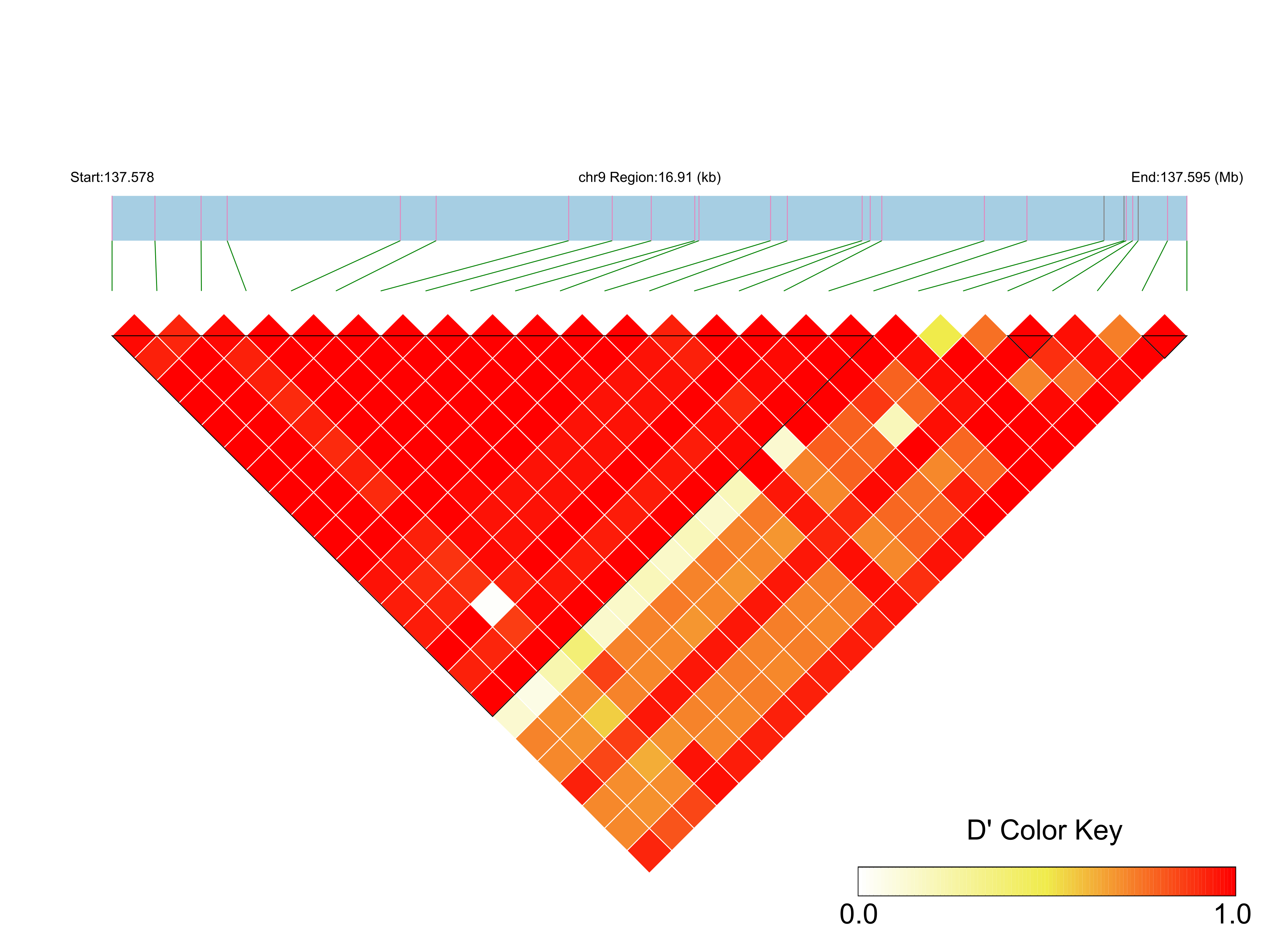 LD
