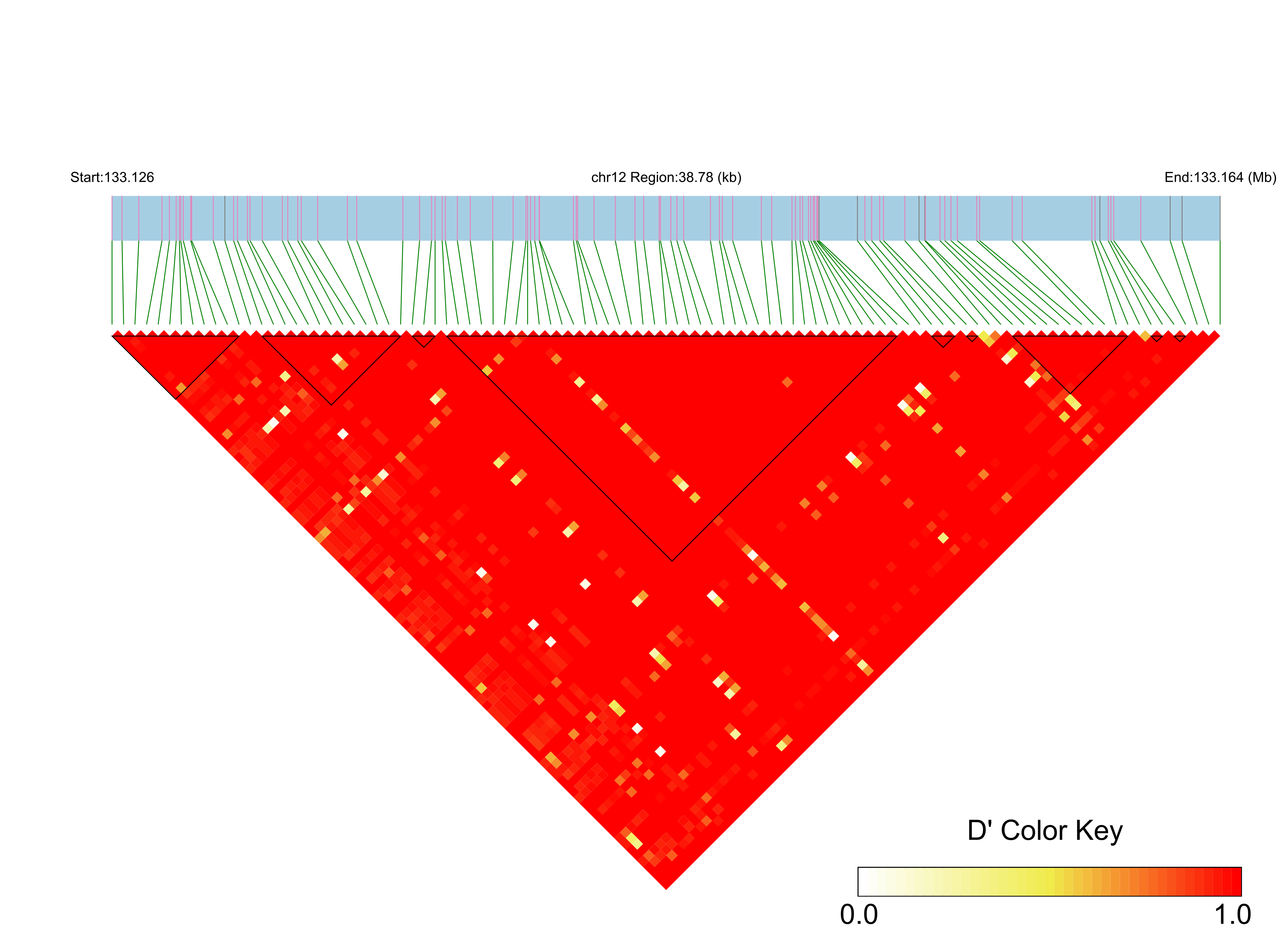 LD
