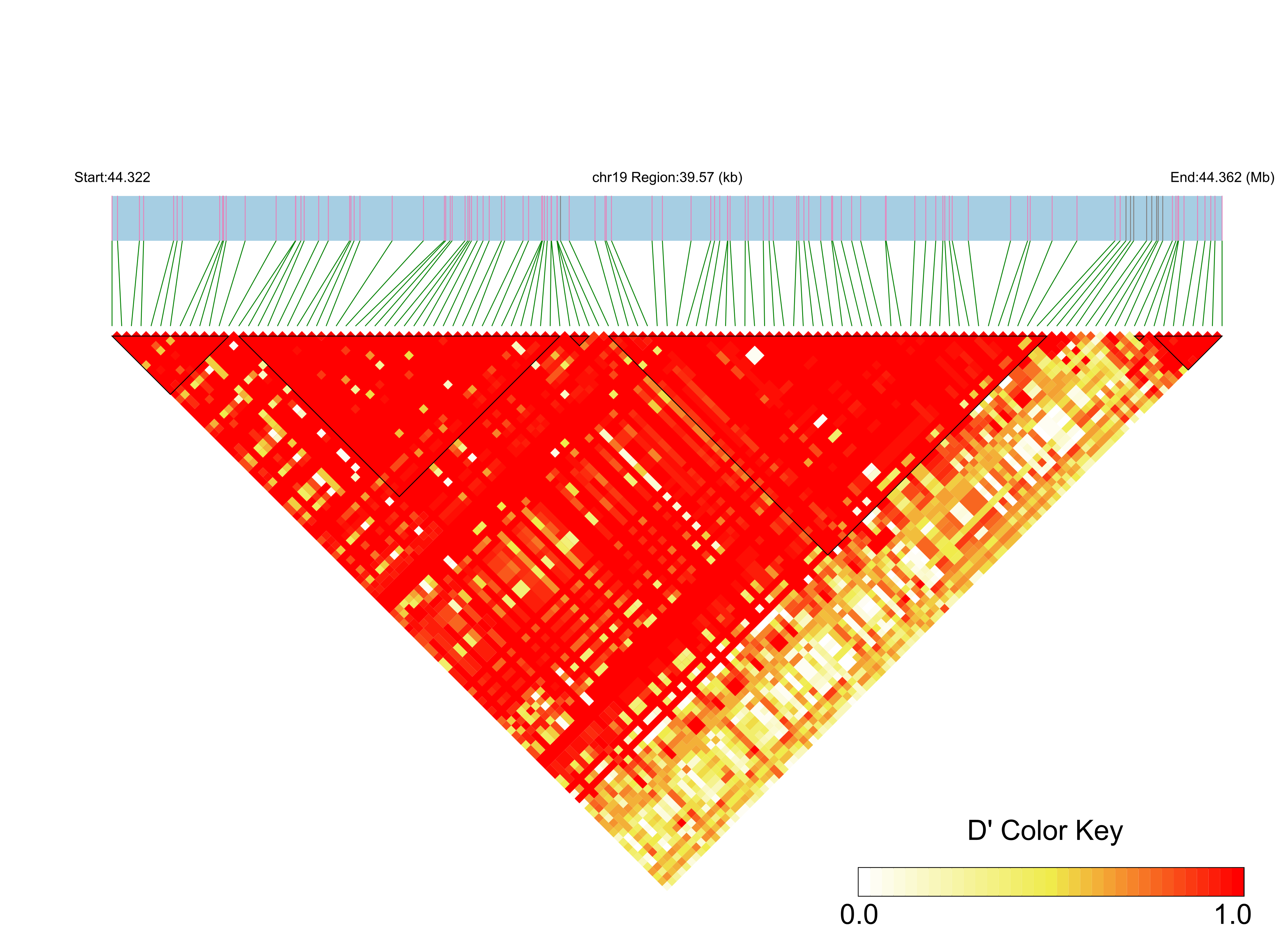 LD