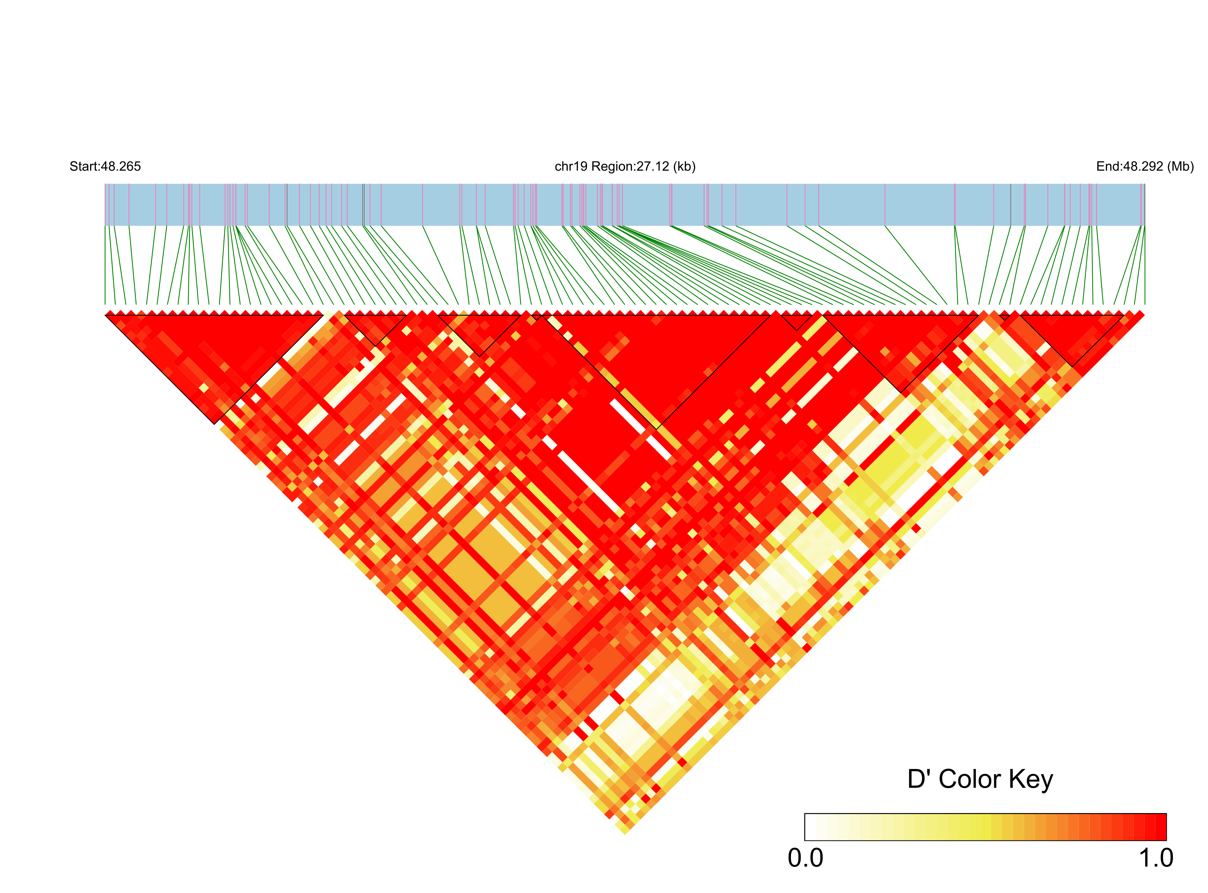 LD