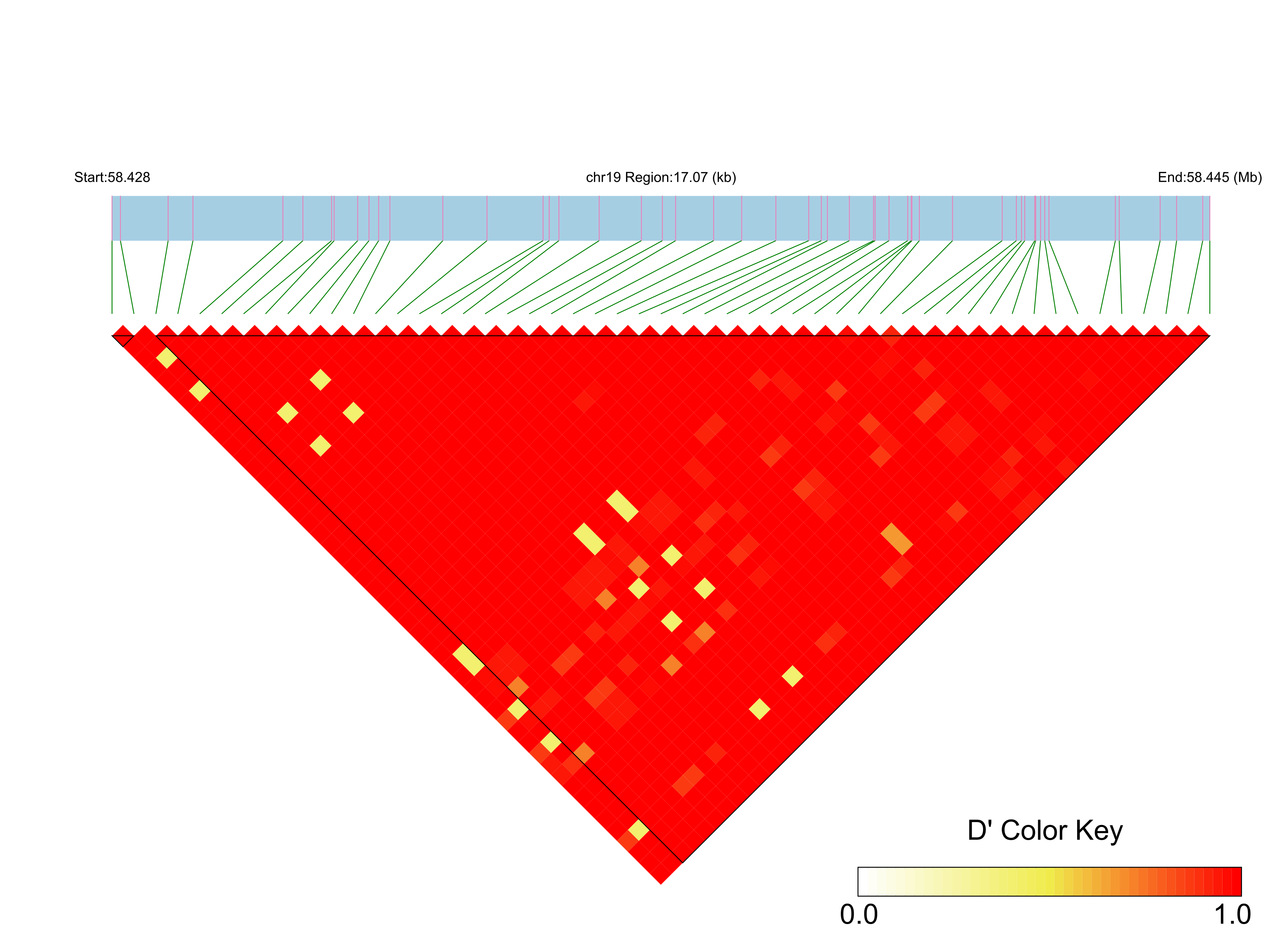 LD