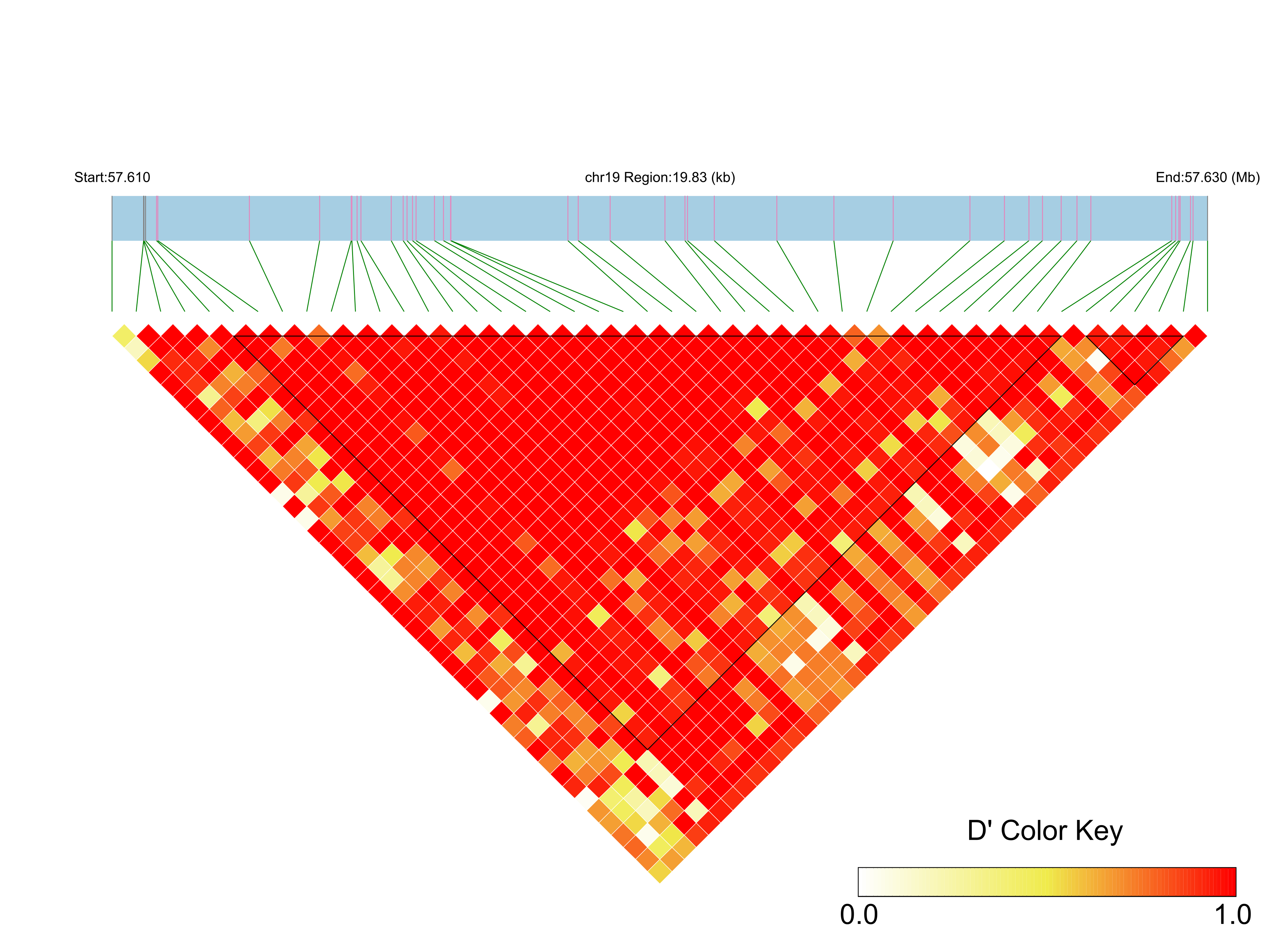 LD
