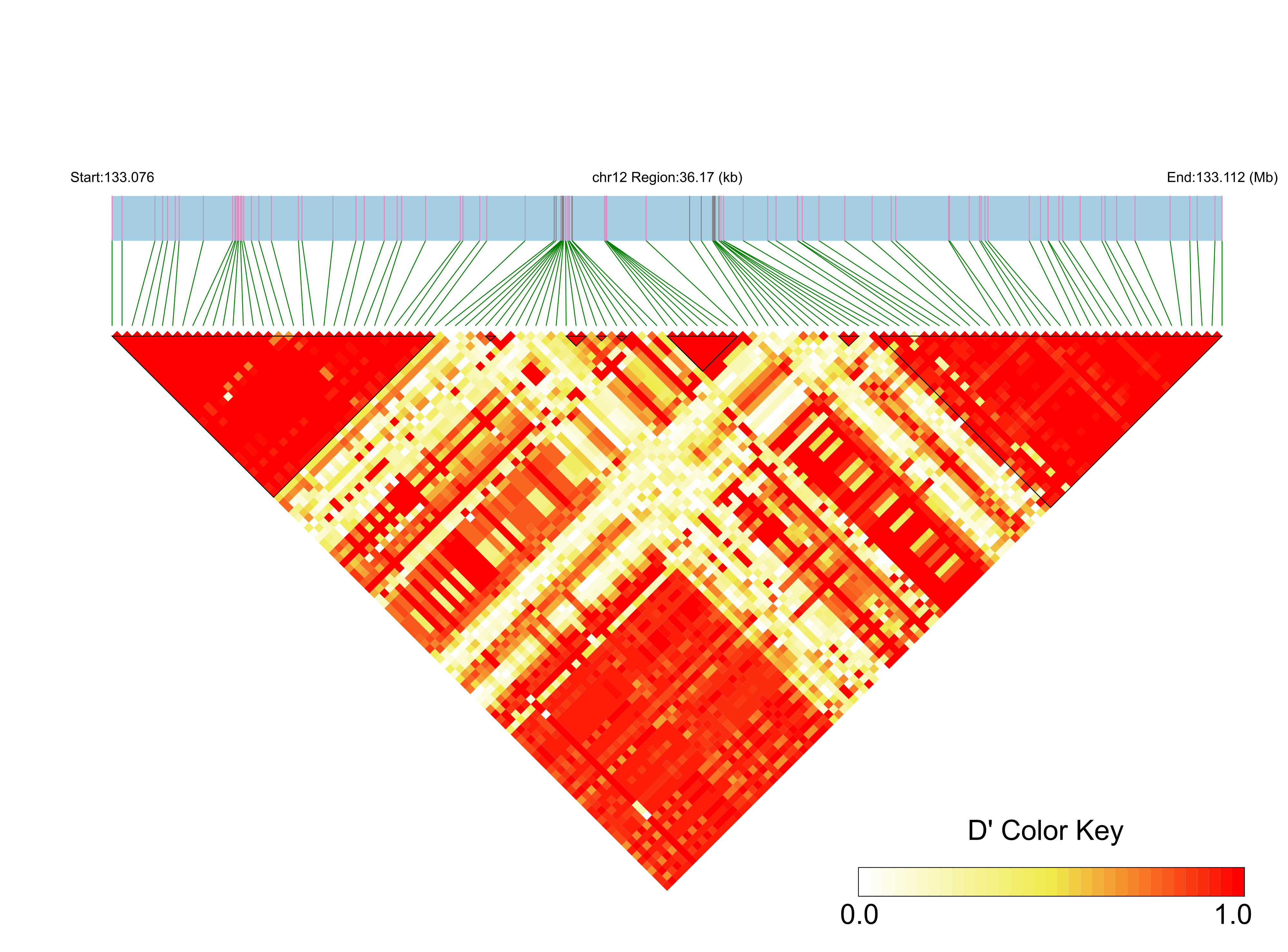 LD