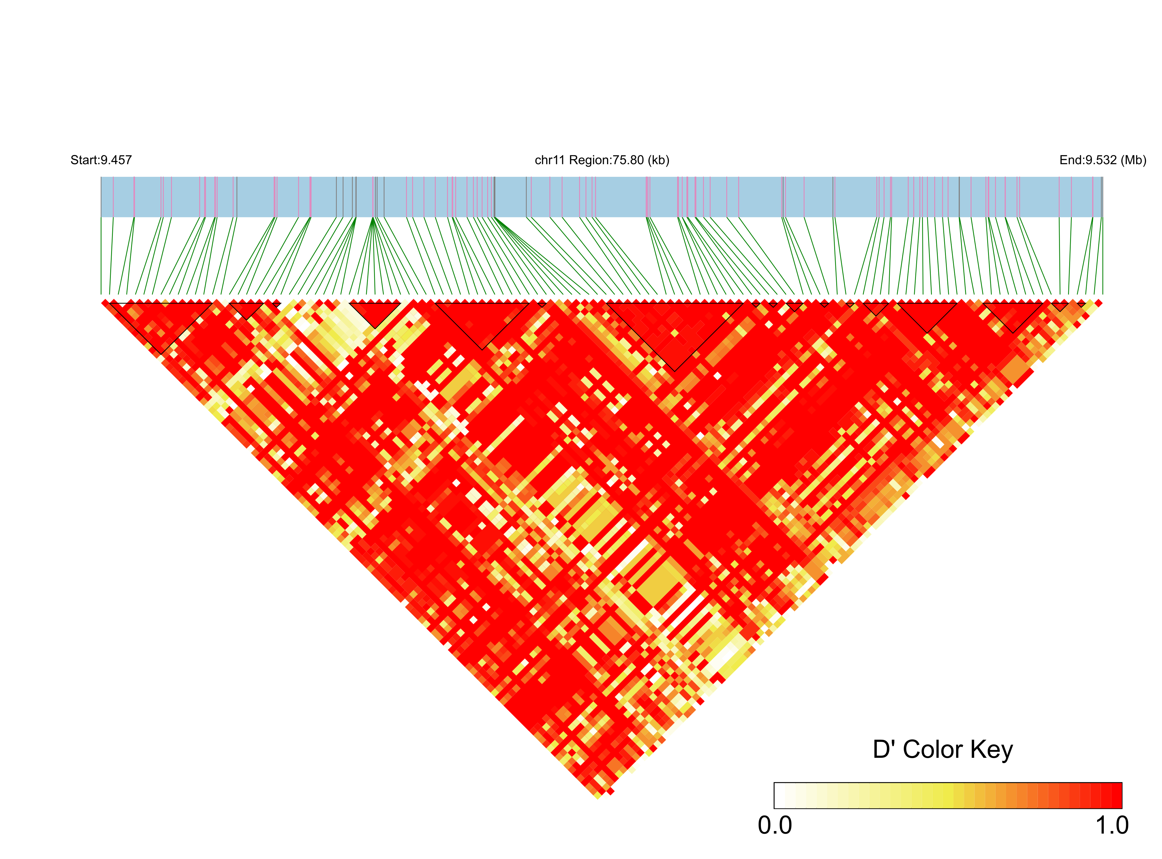 LD