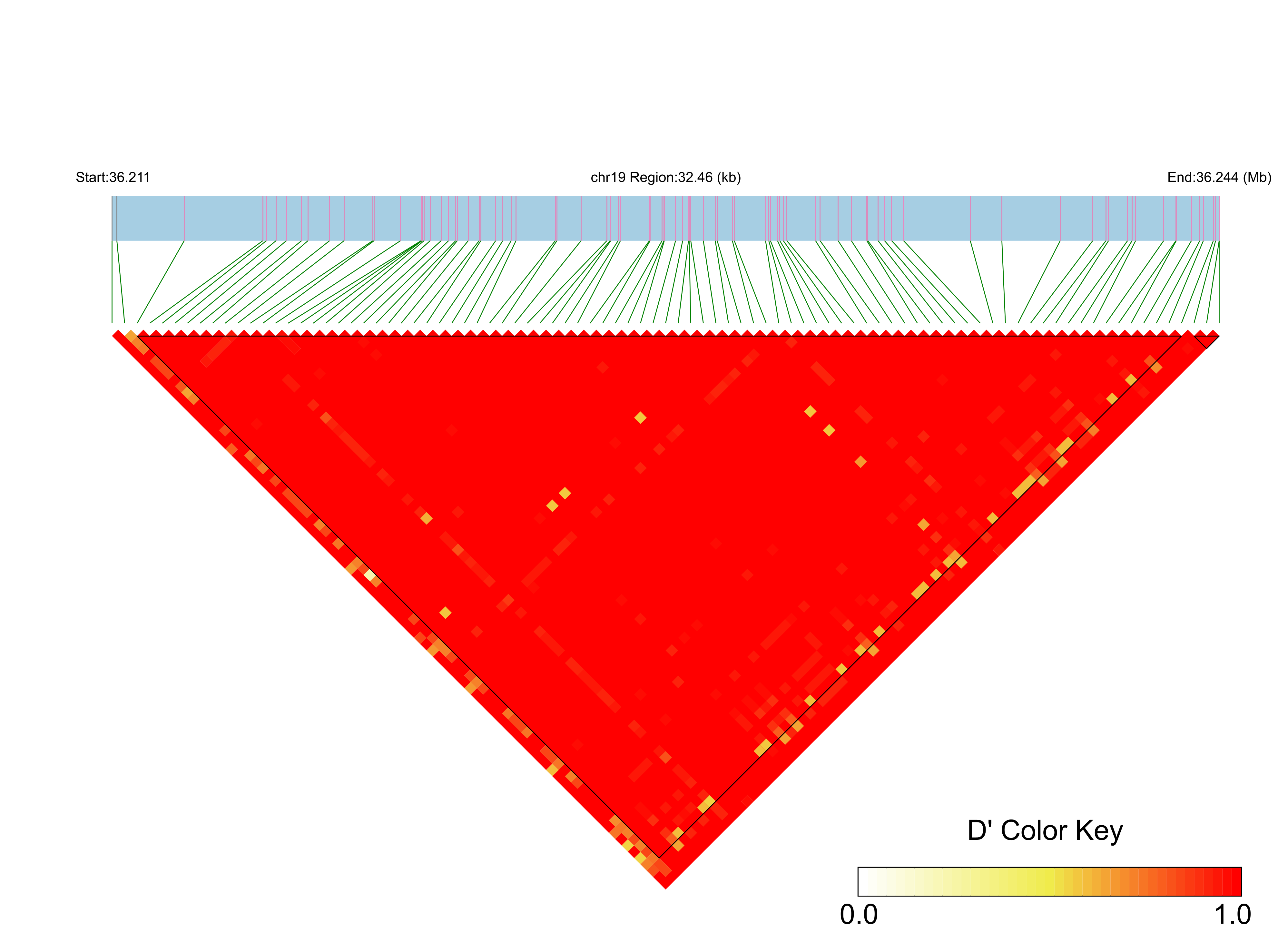 LD