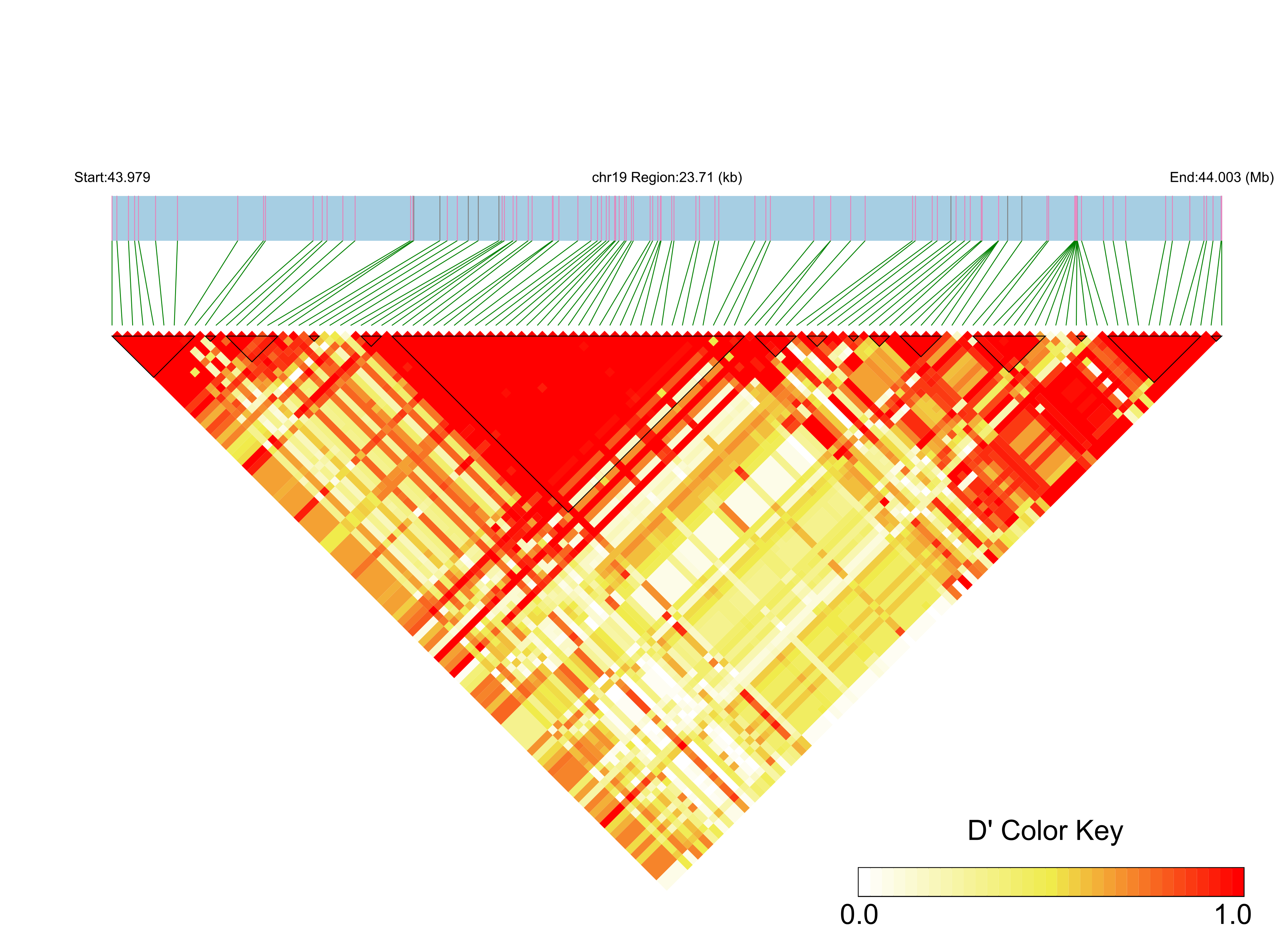 LD