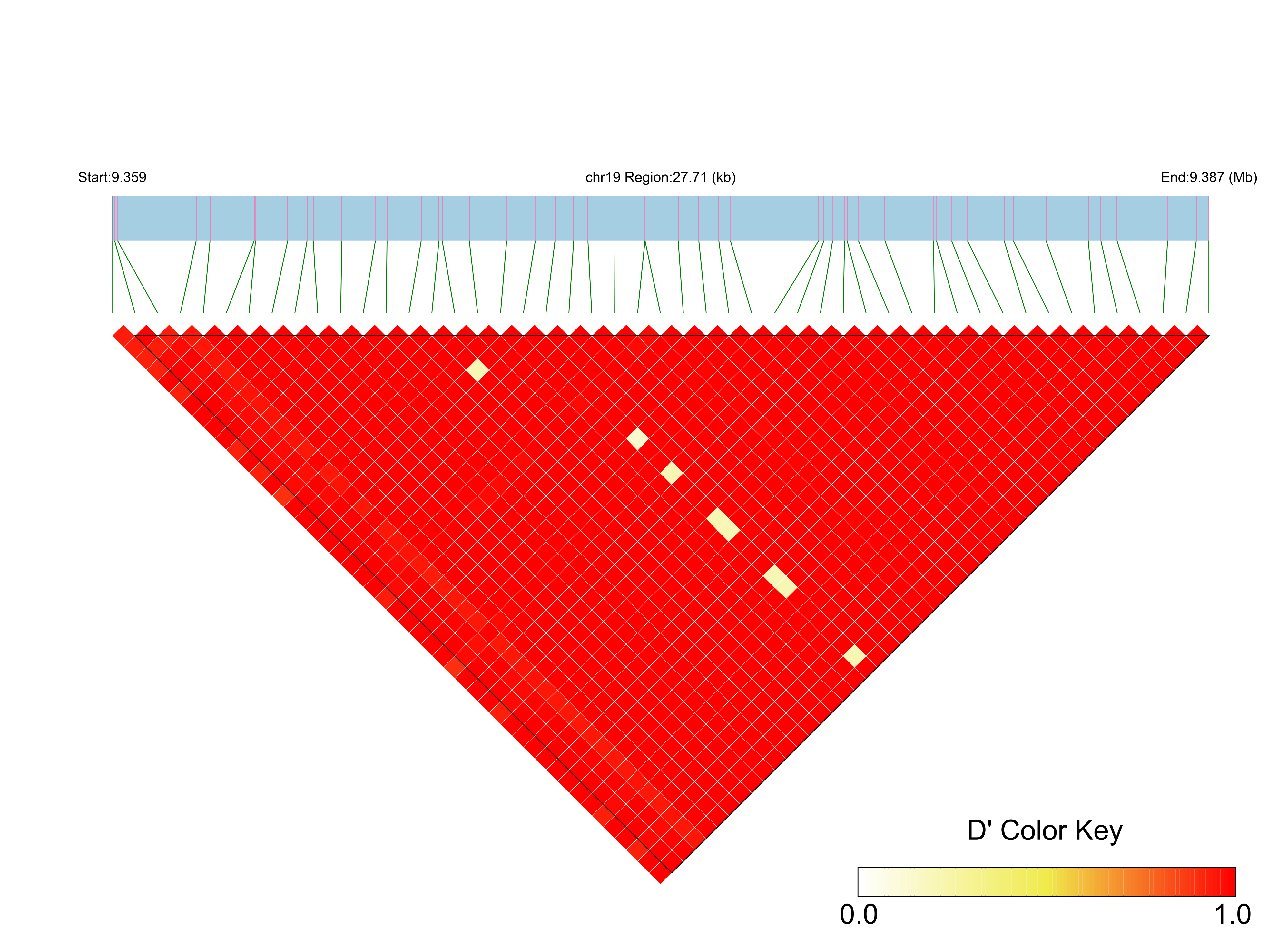 LD