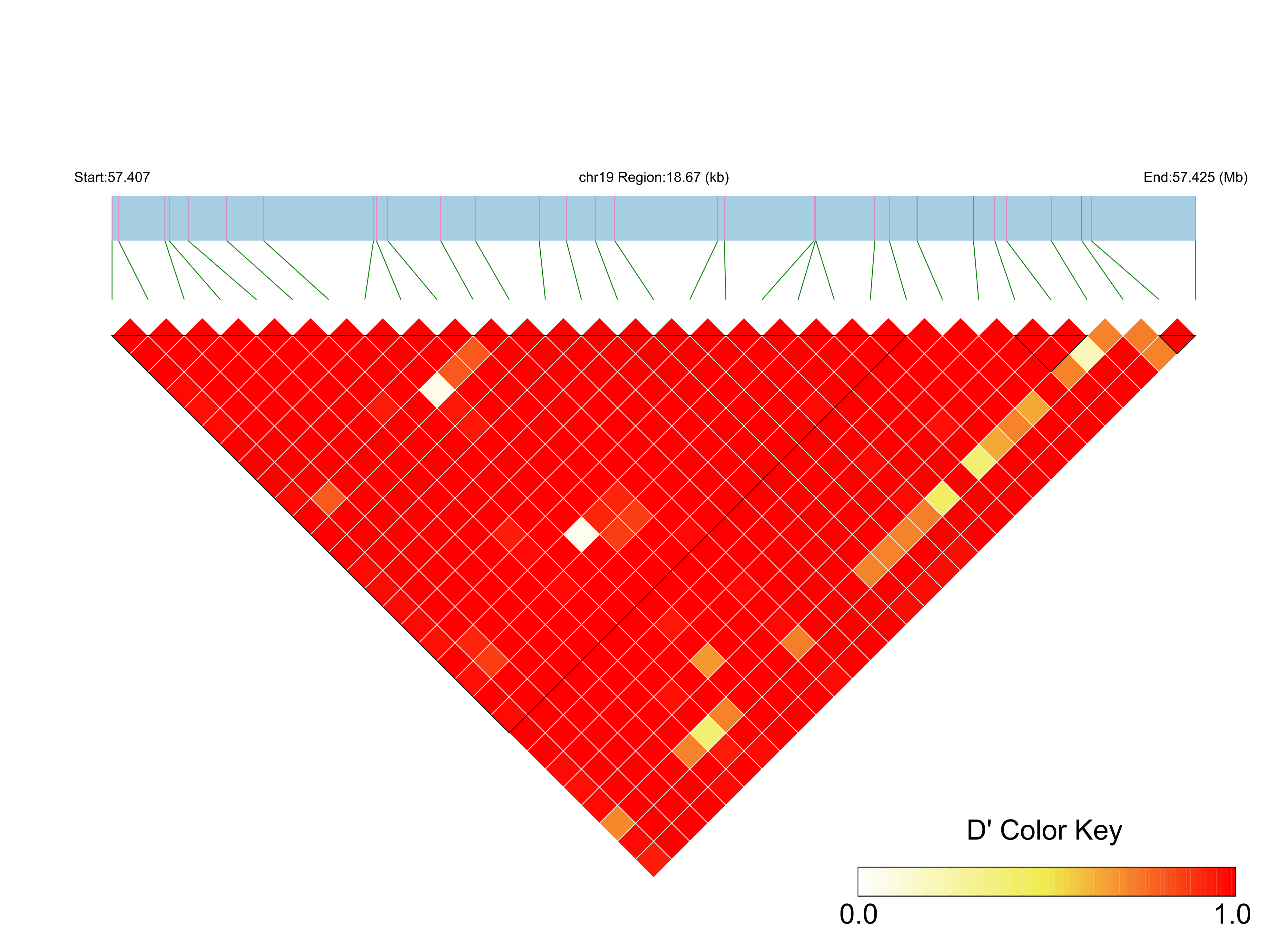 LD