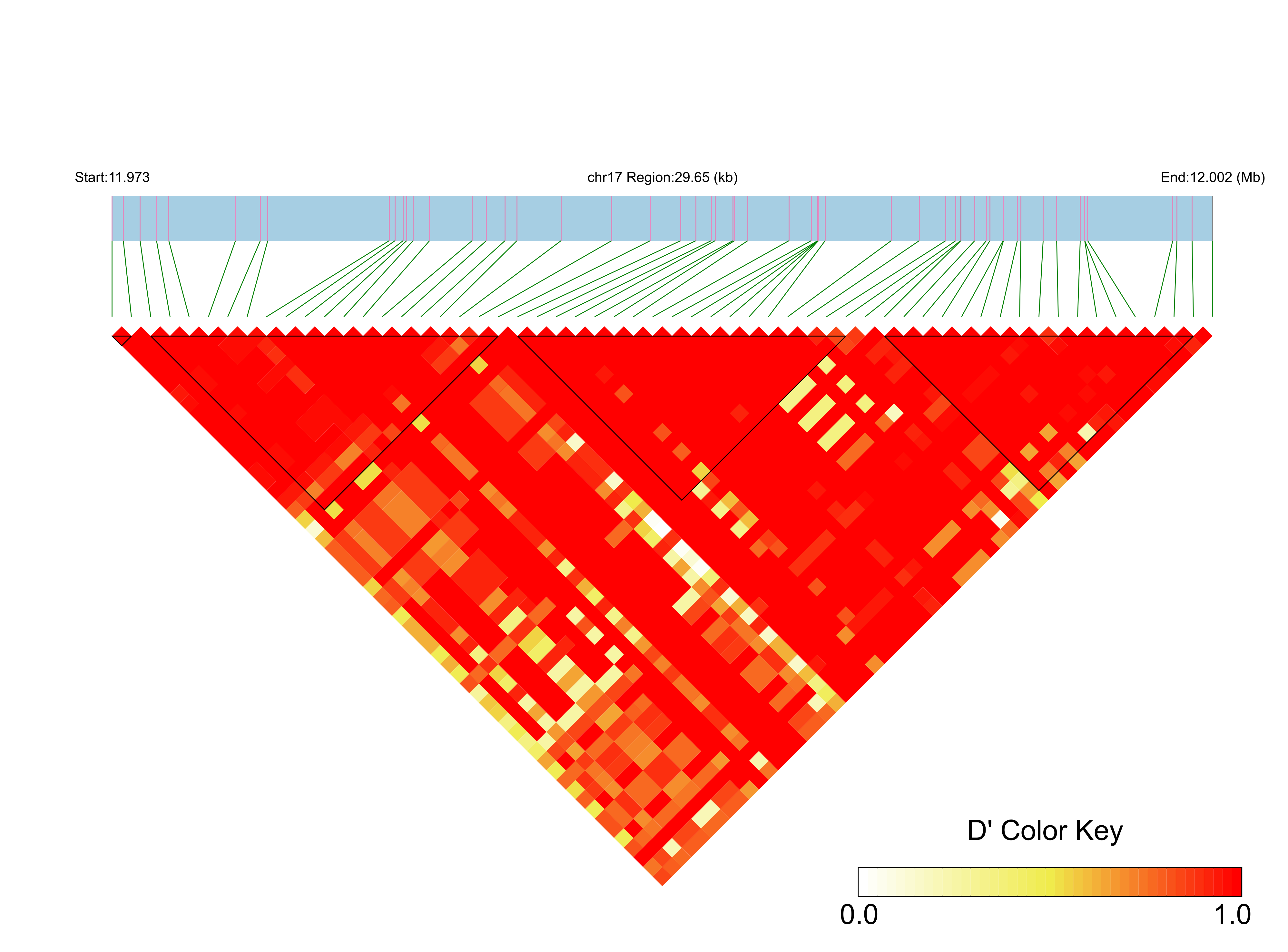 LD