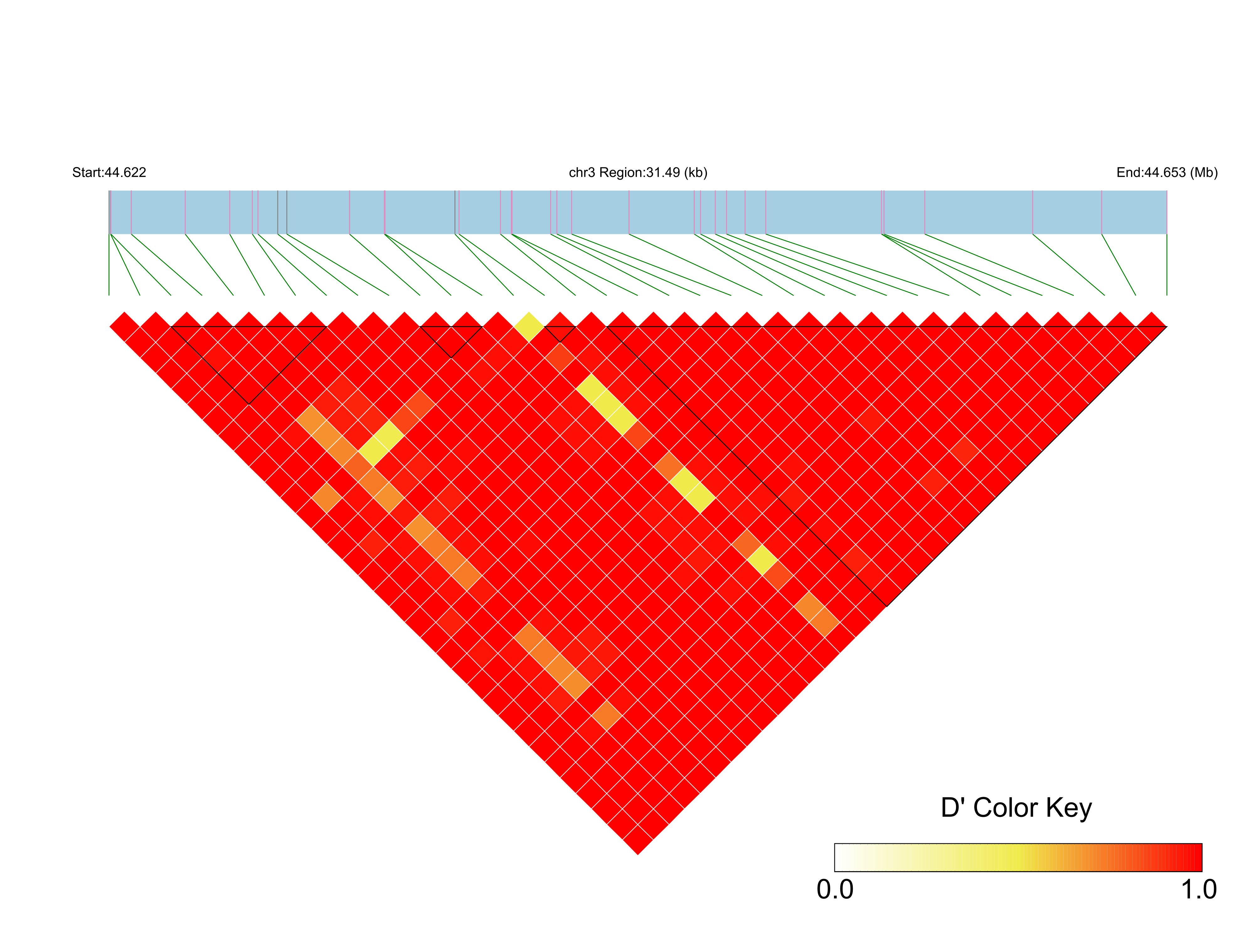LD
