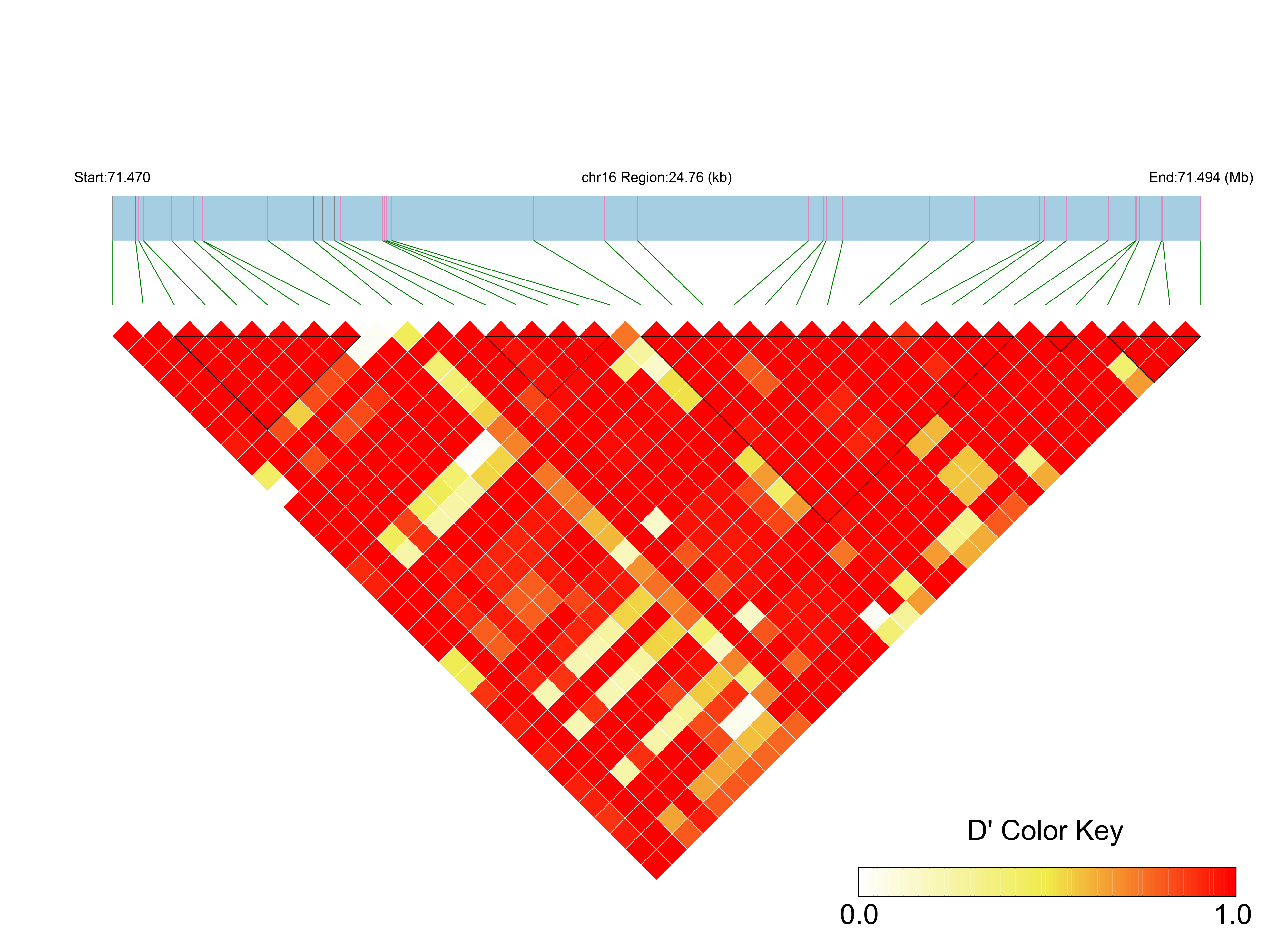 LD