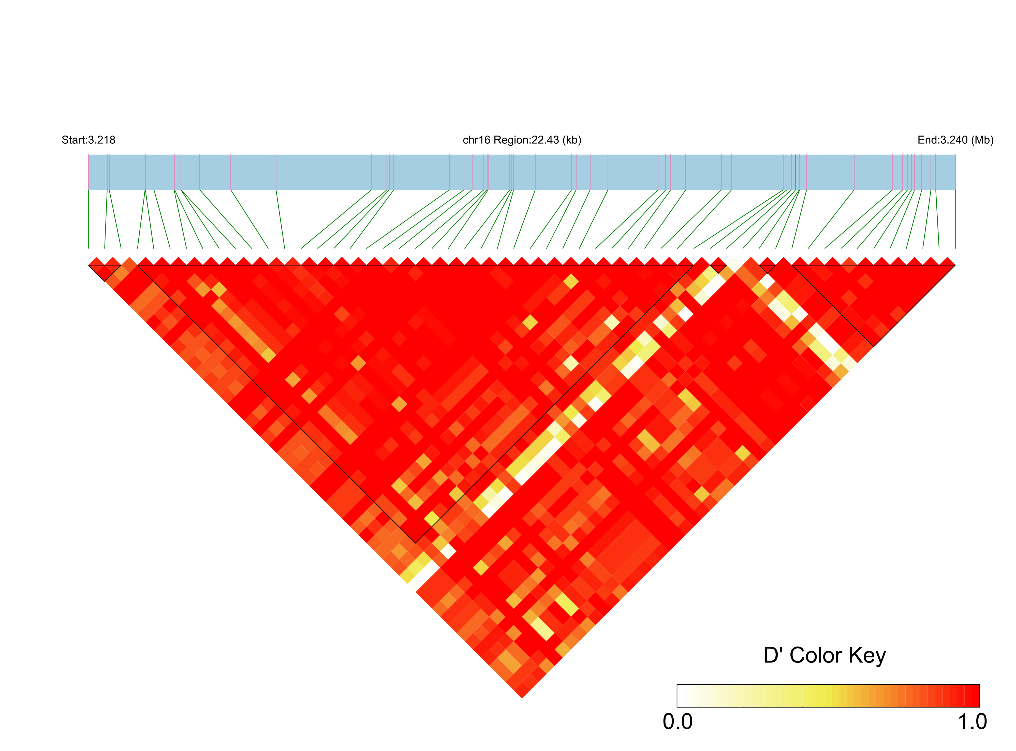 LD