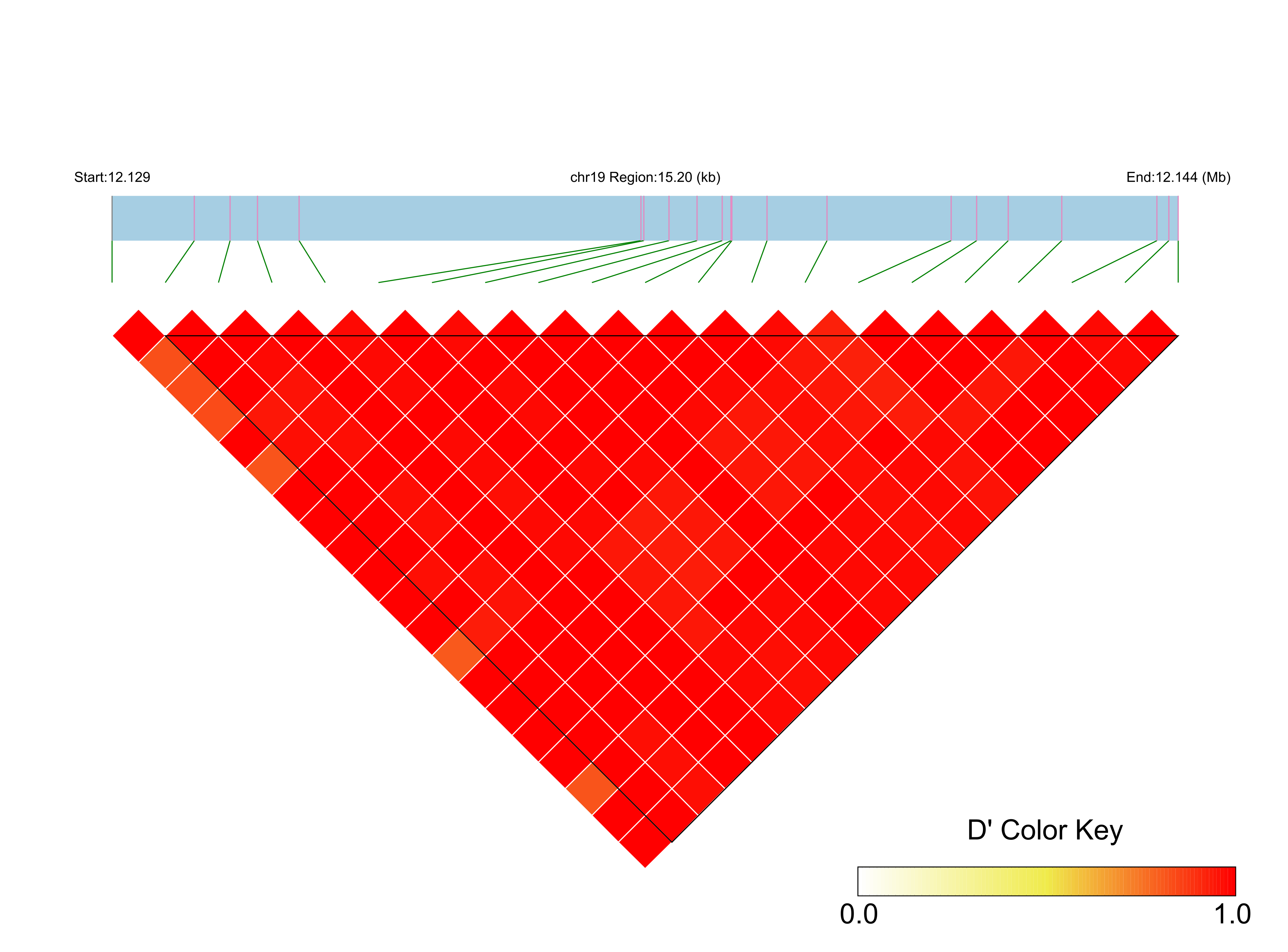 LD
