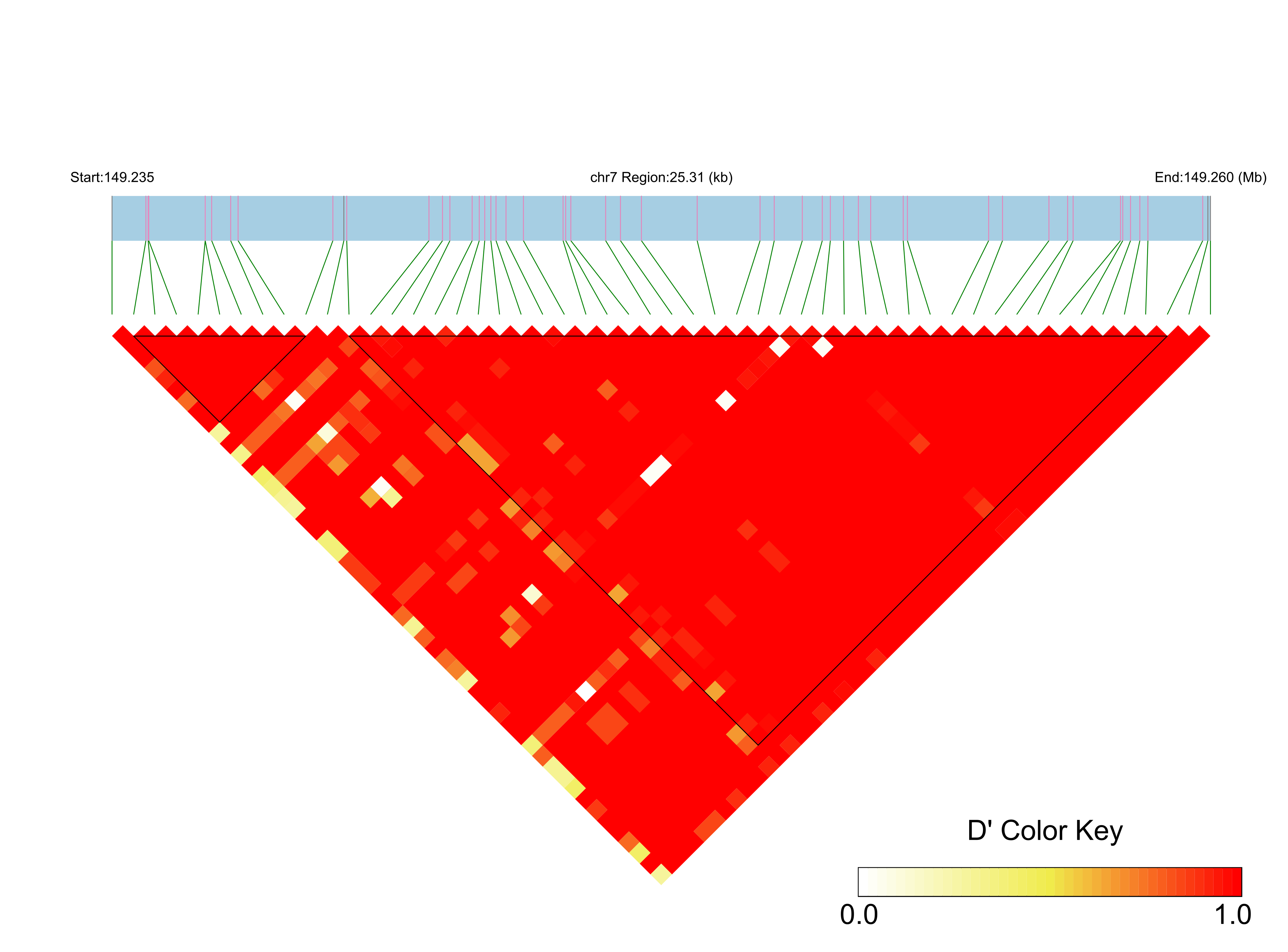 LD