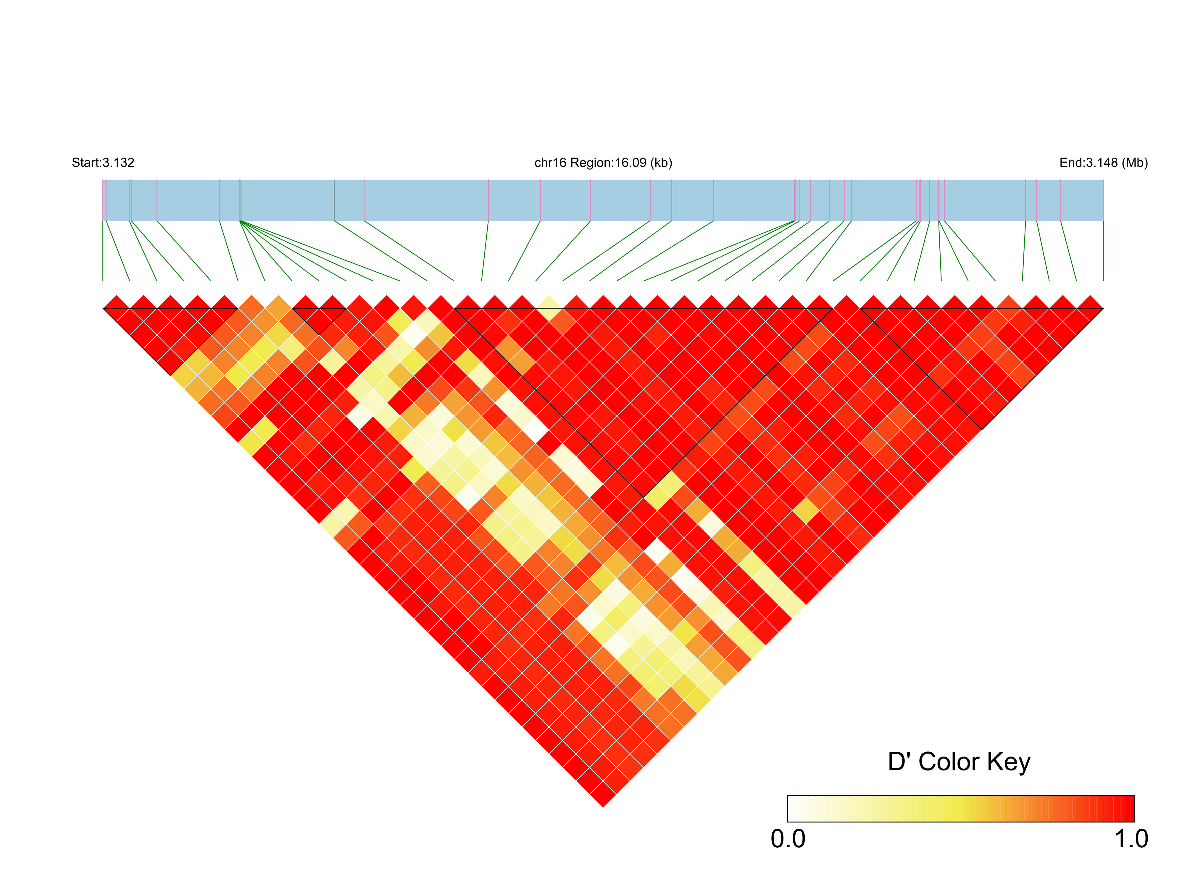 LD
