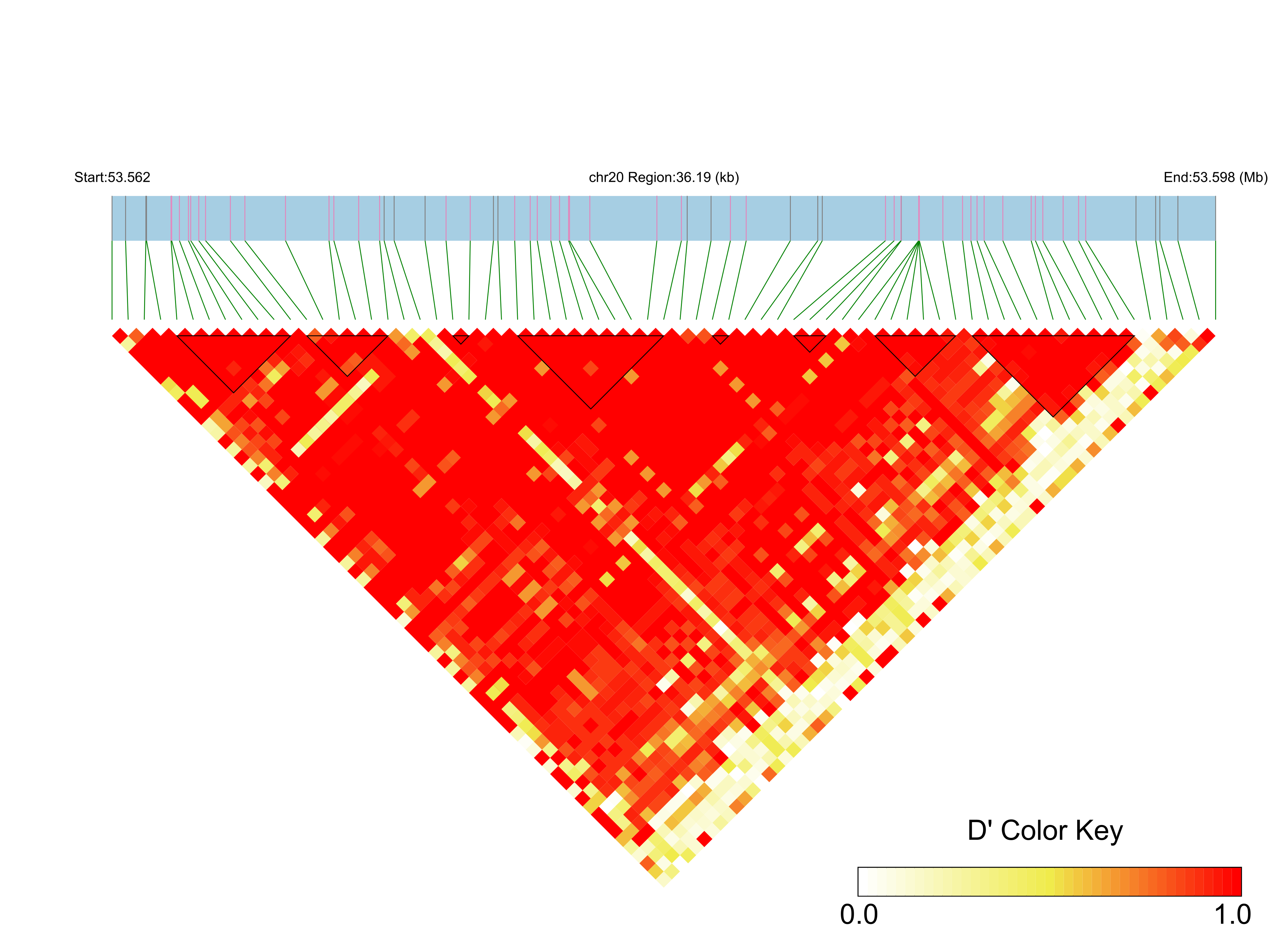 LD