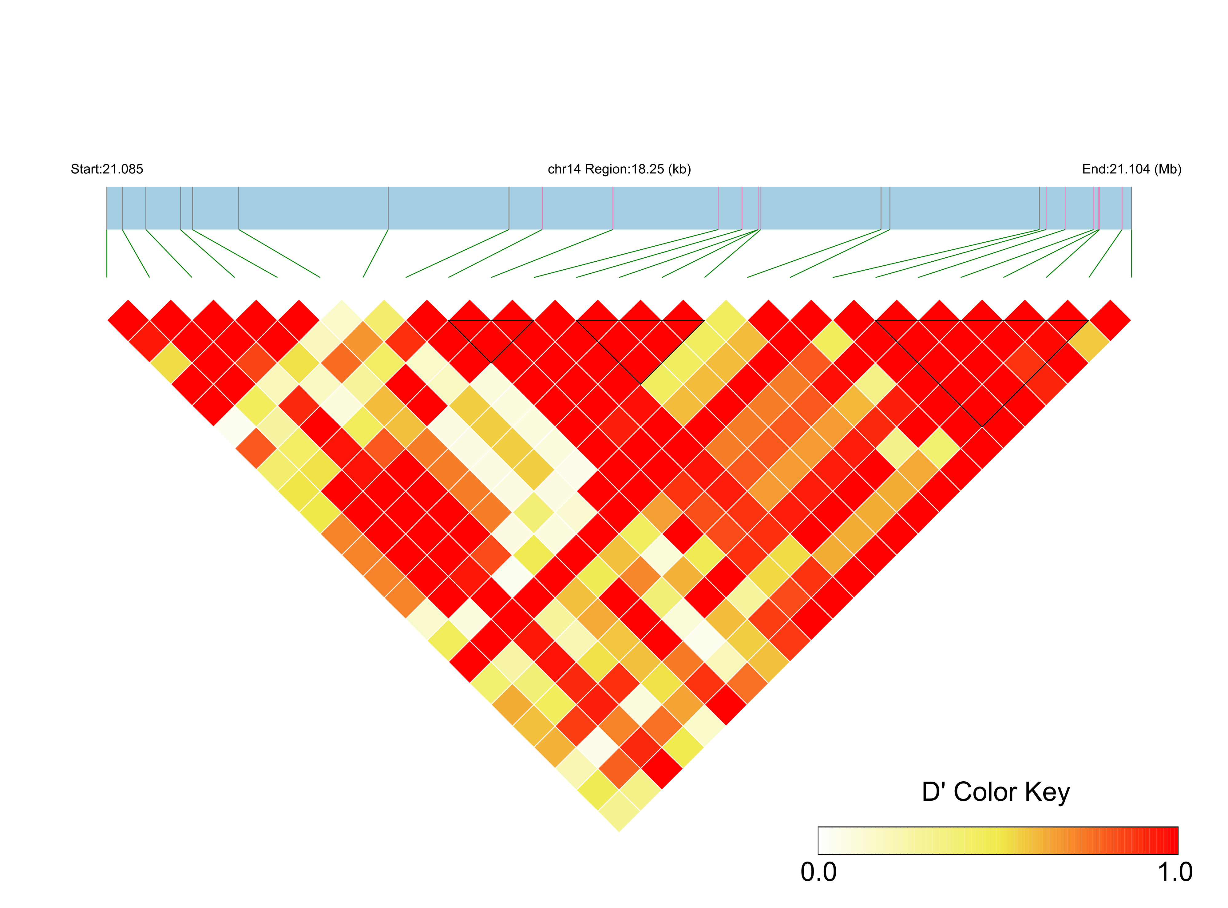 LD