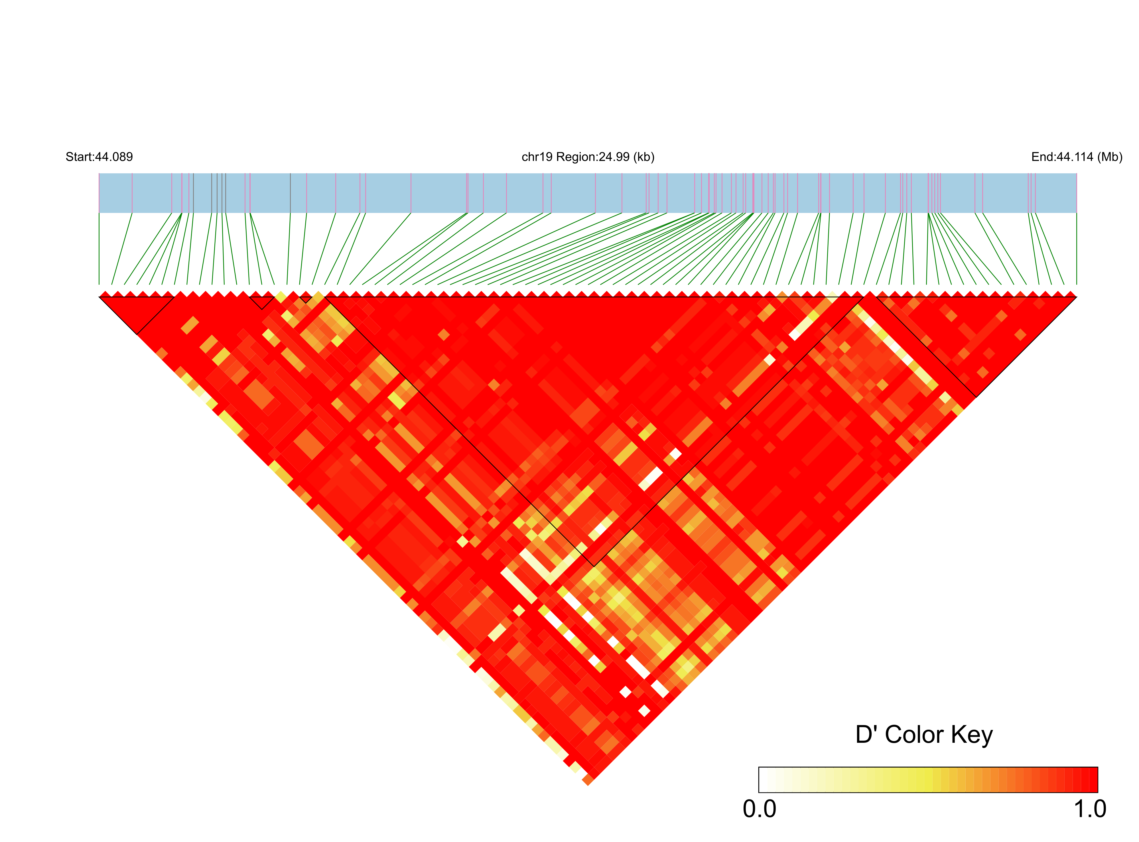 LD
