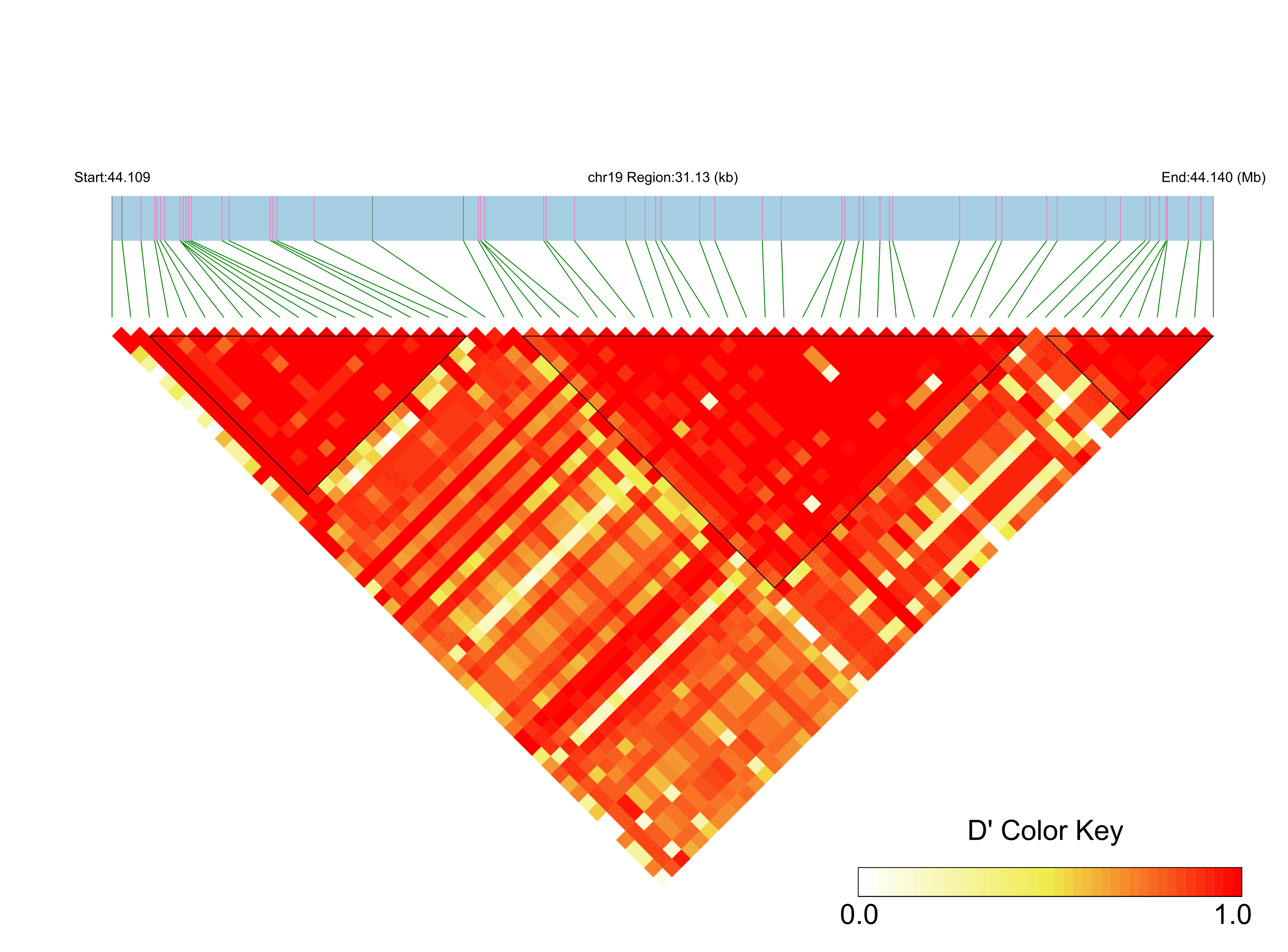 LD