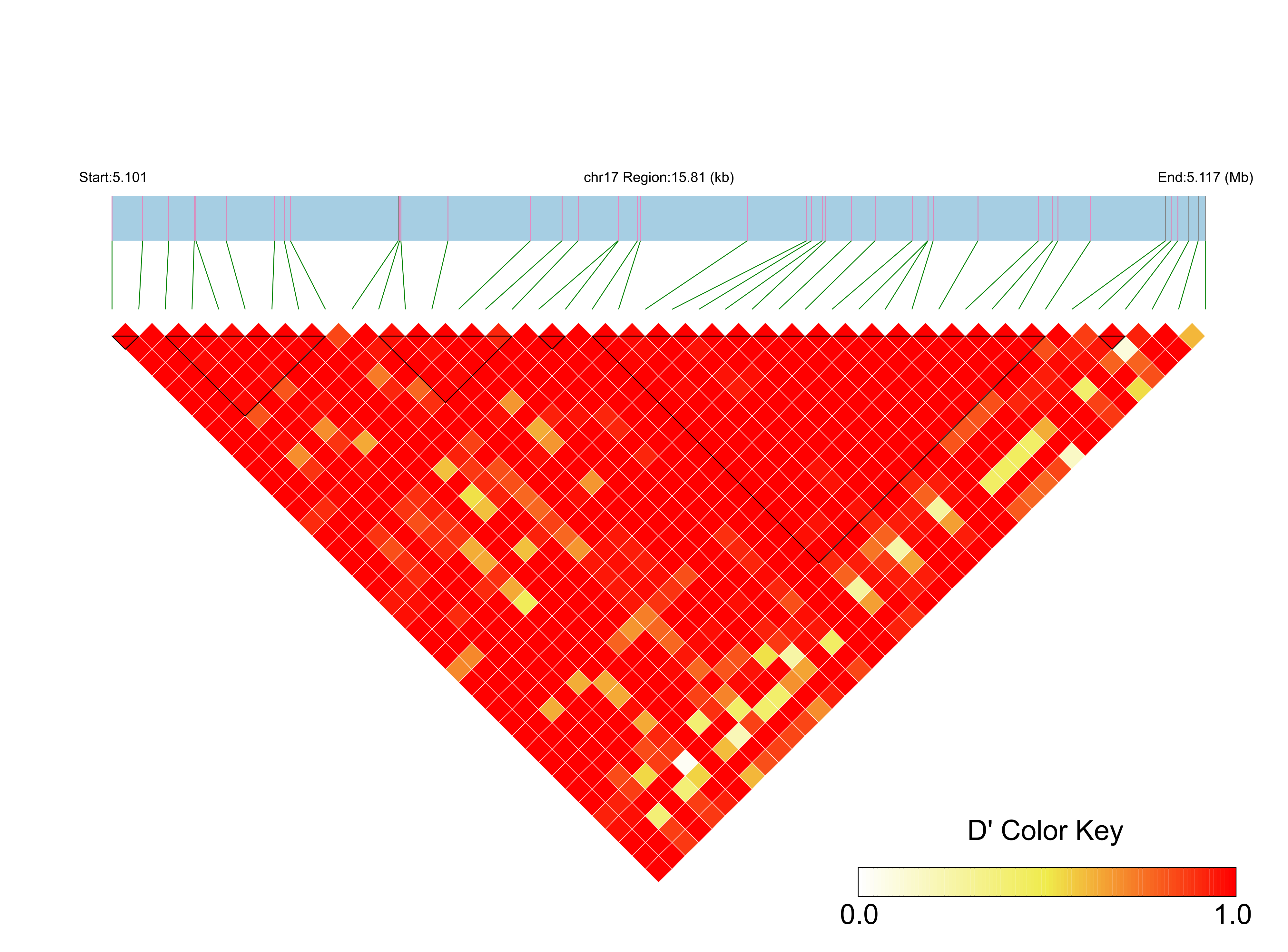 LD