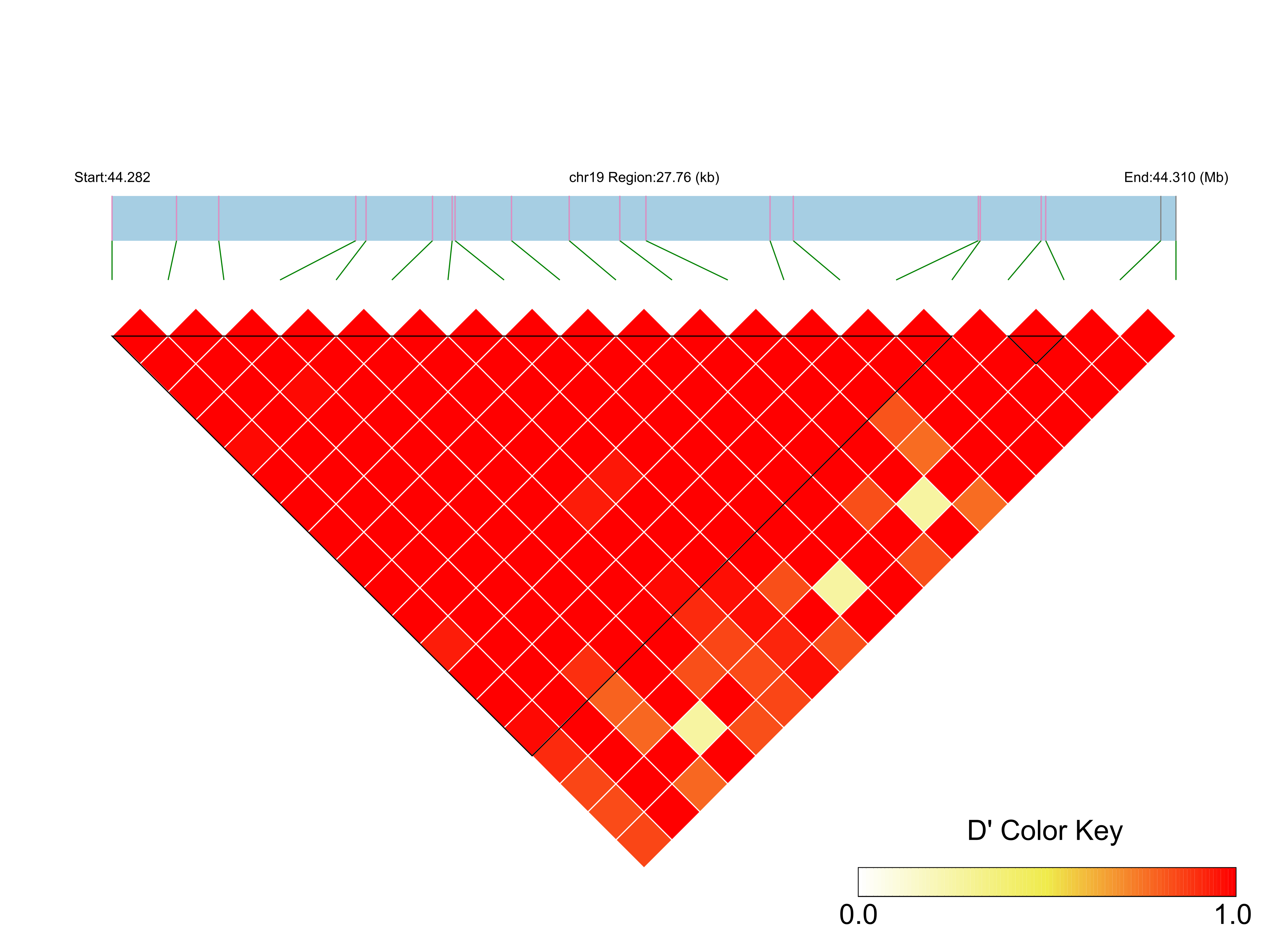 LD