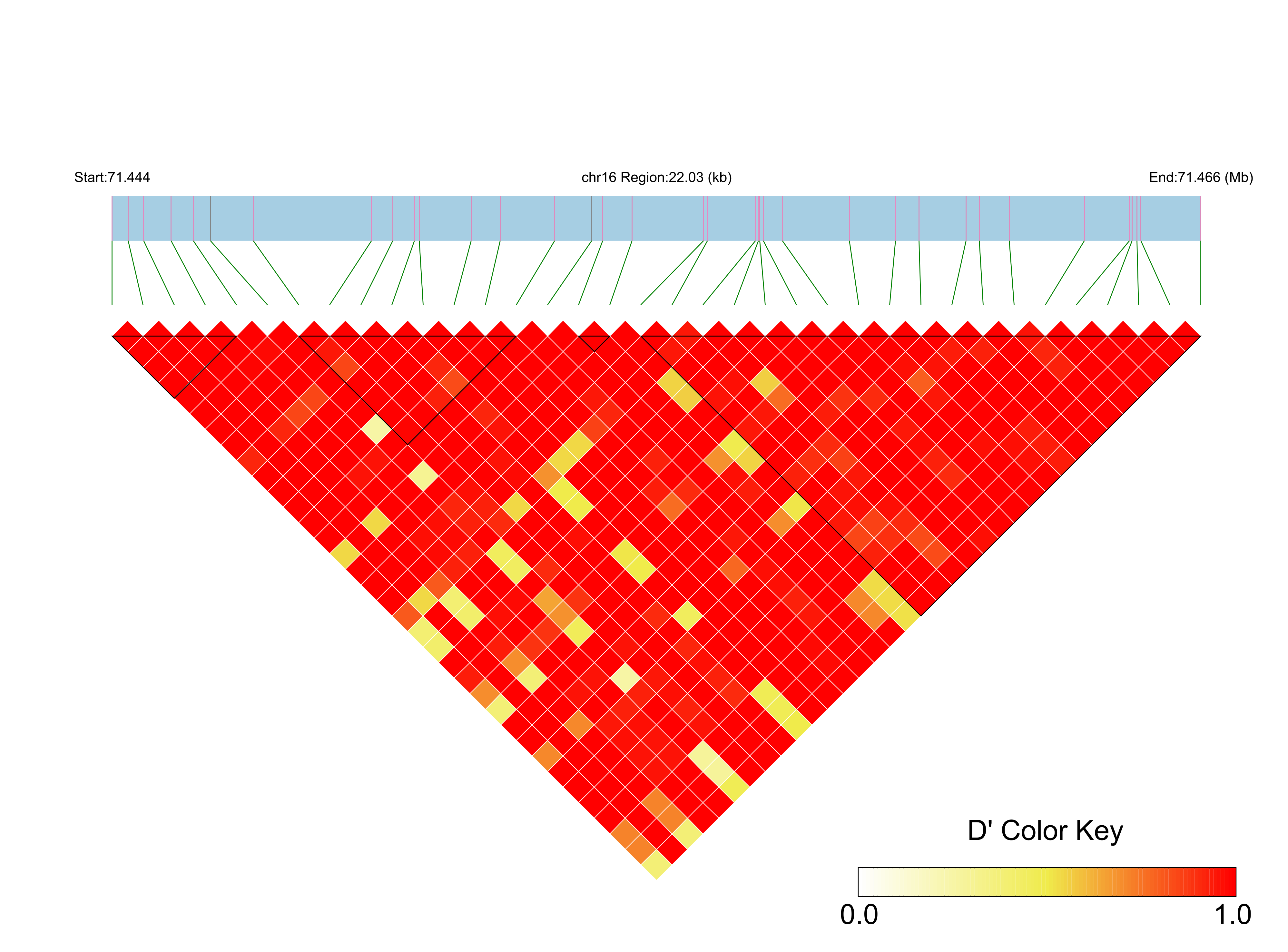 LD