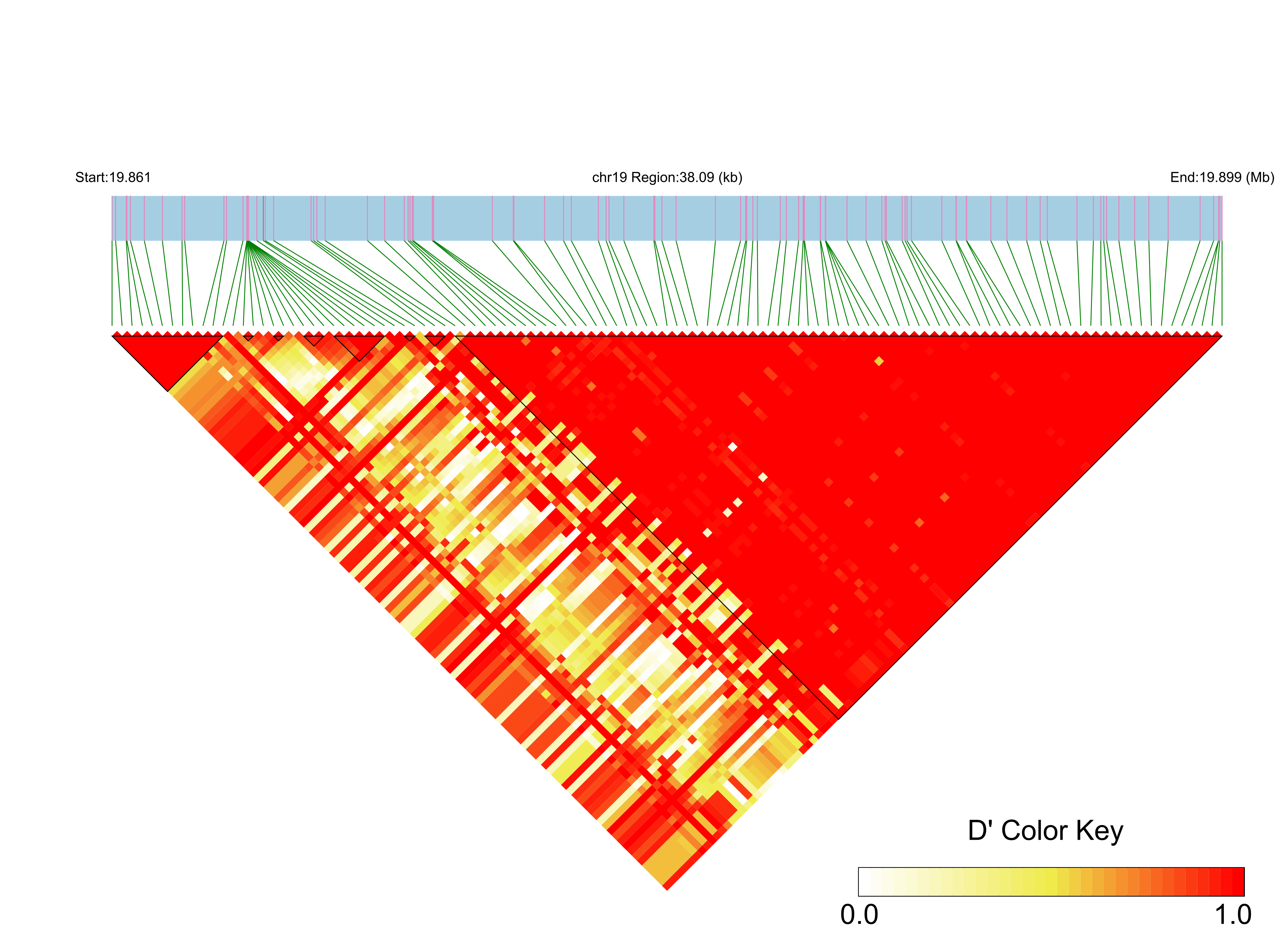LD