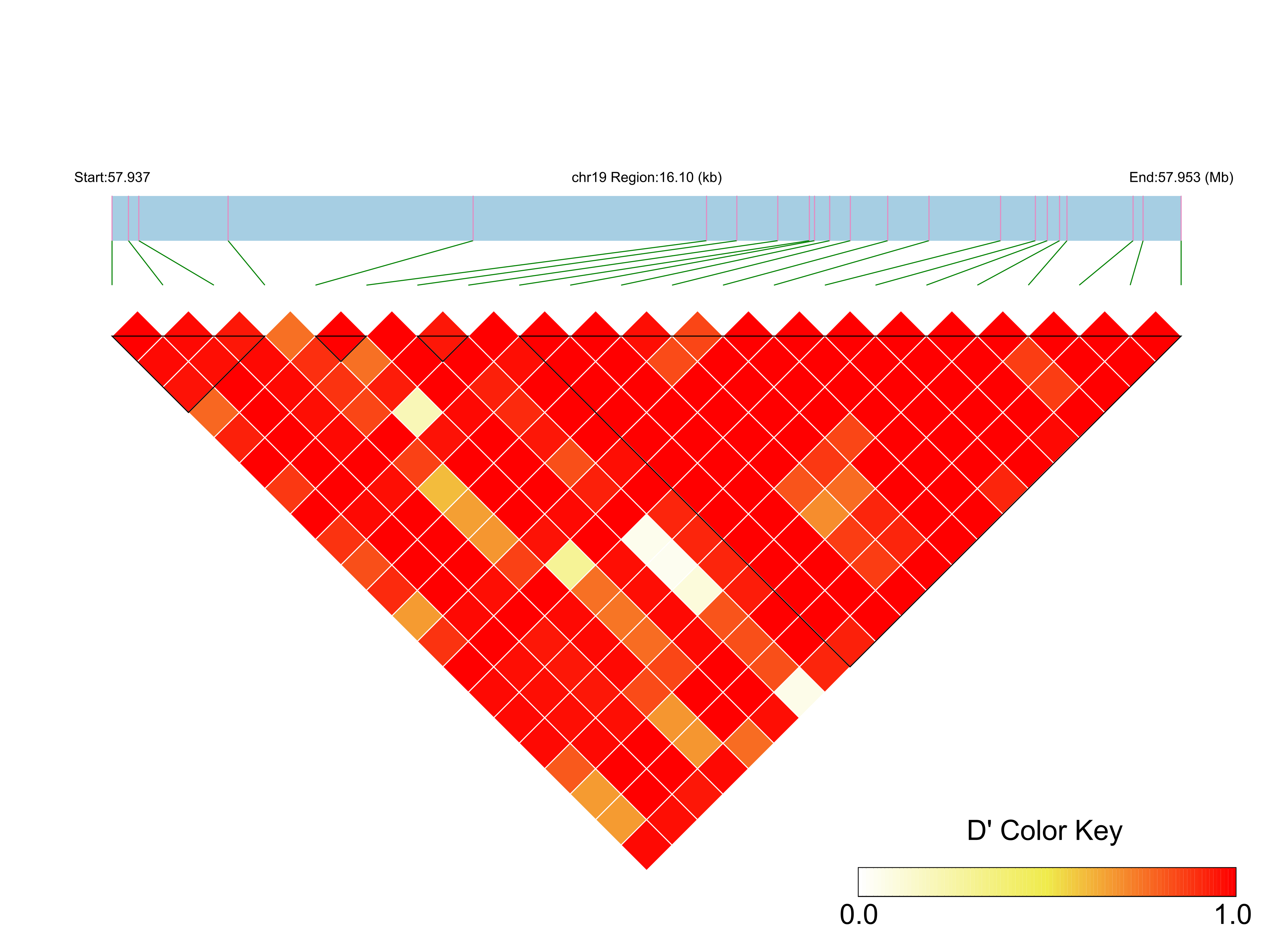 LD