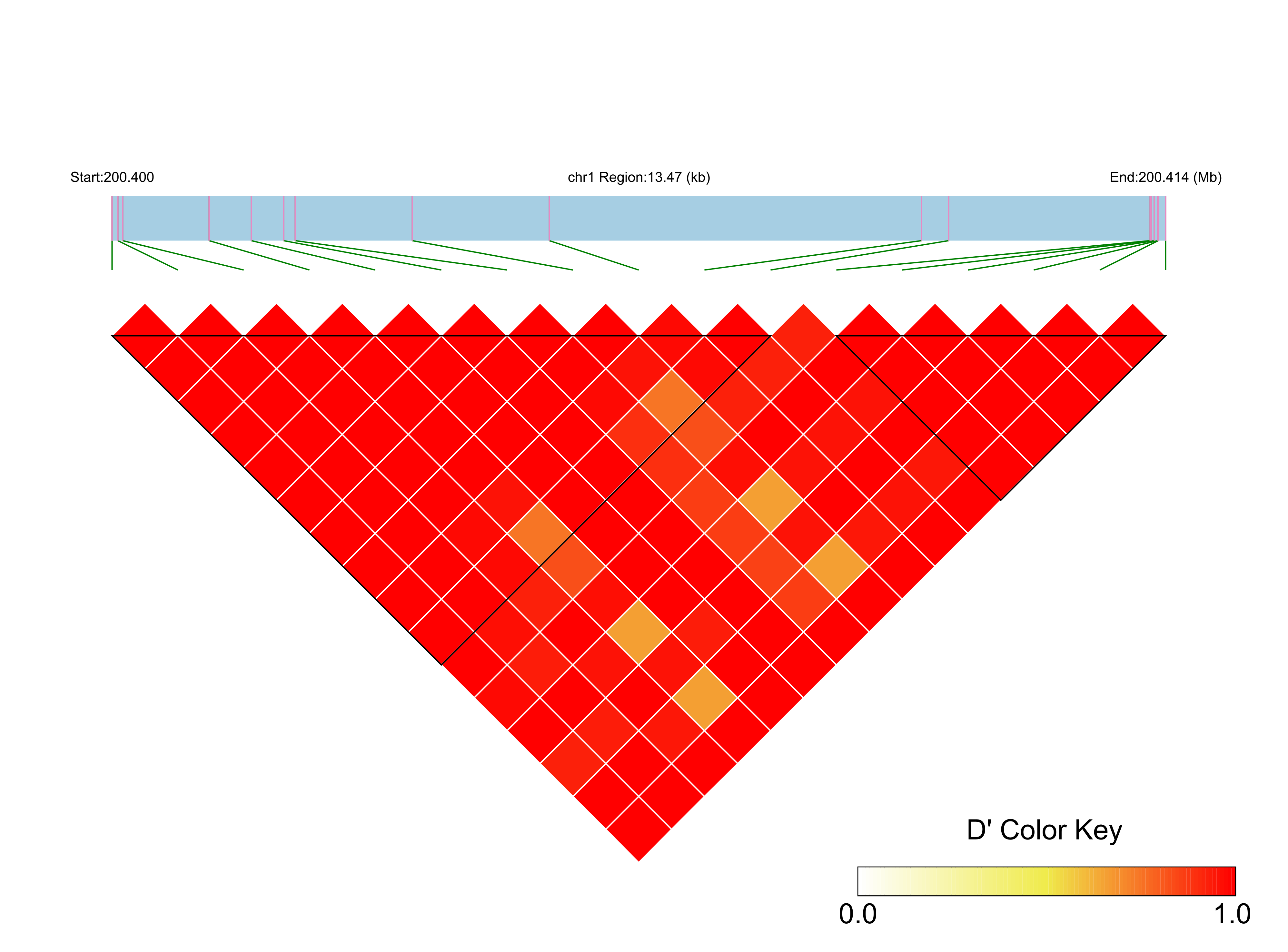 LD