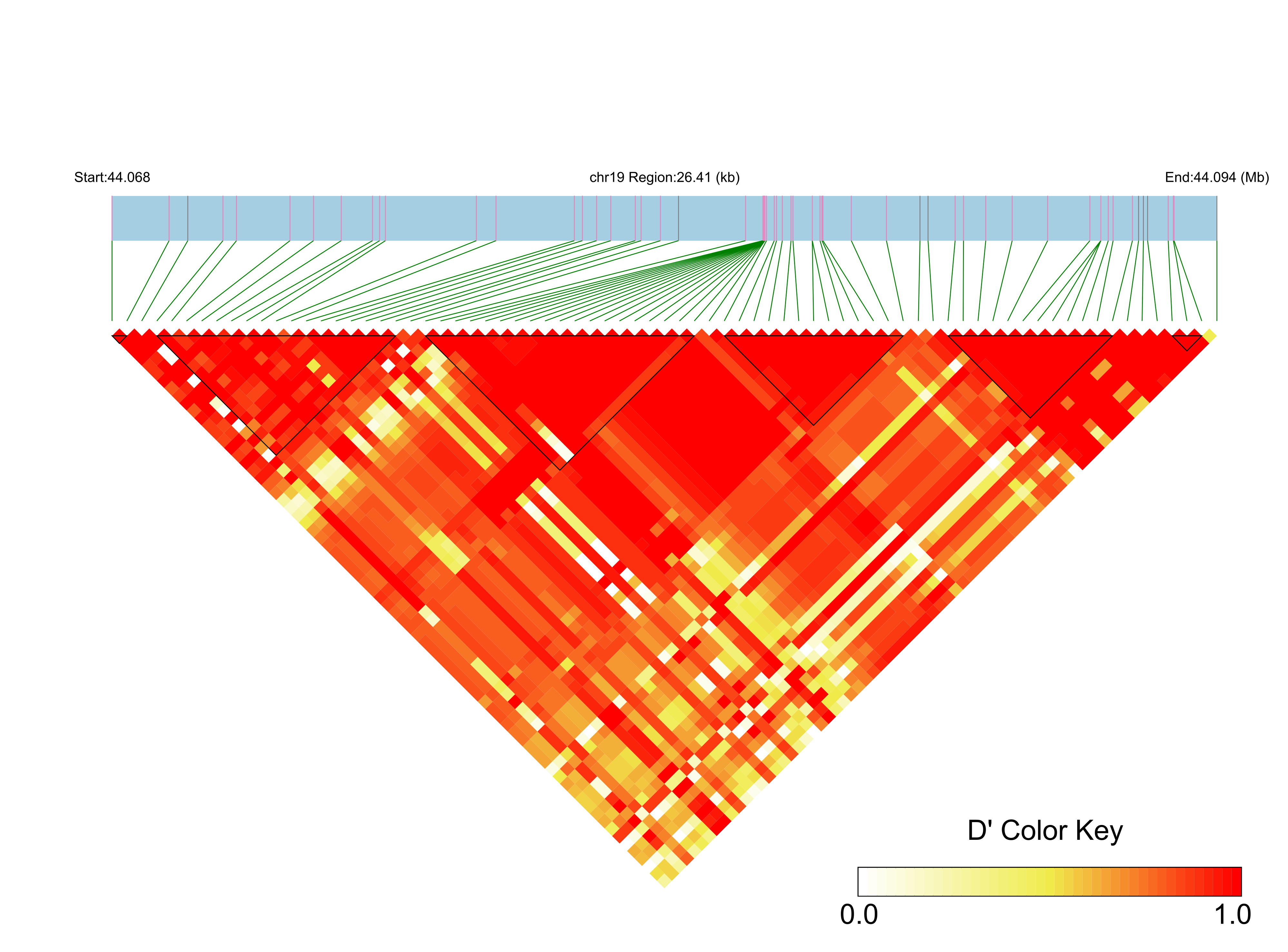 LD
