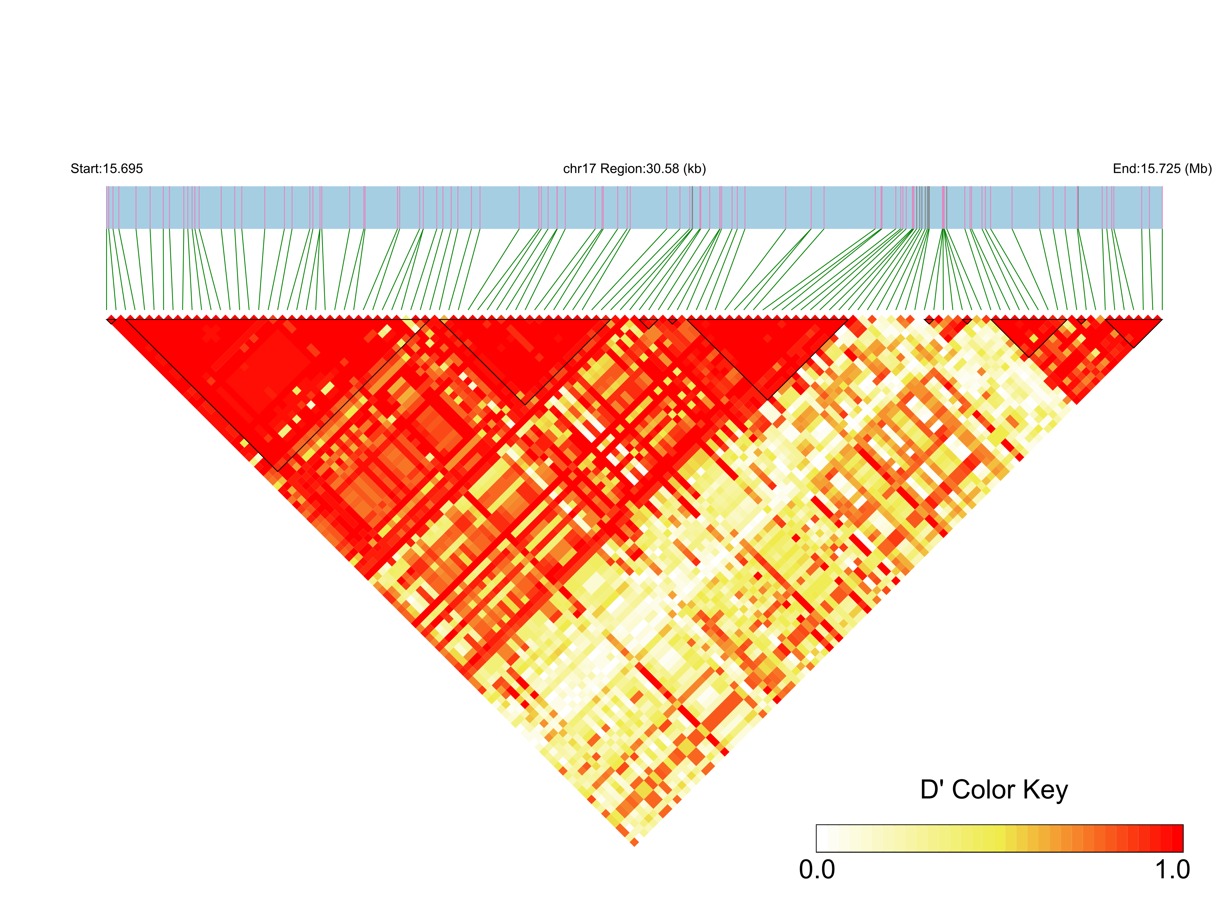 LD