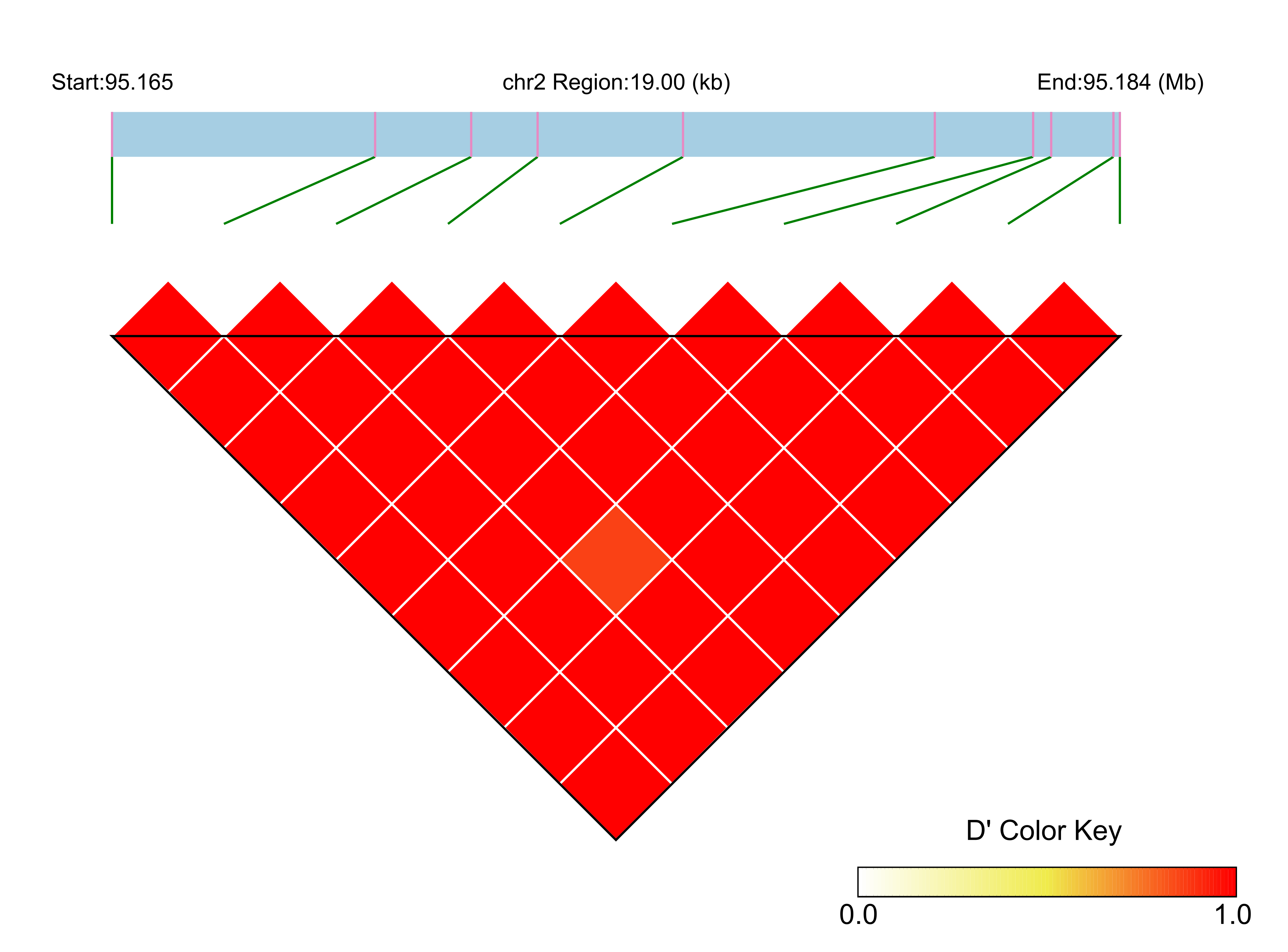 LD