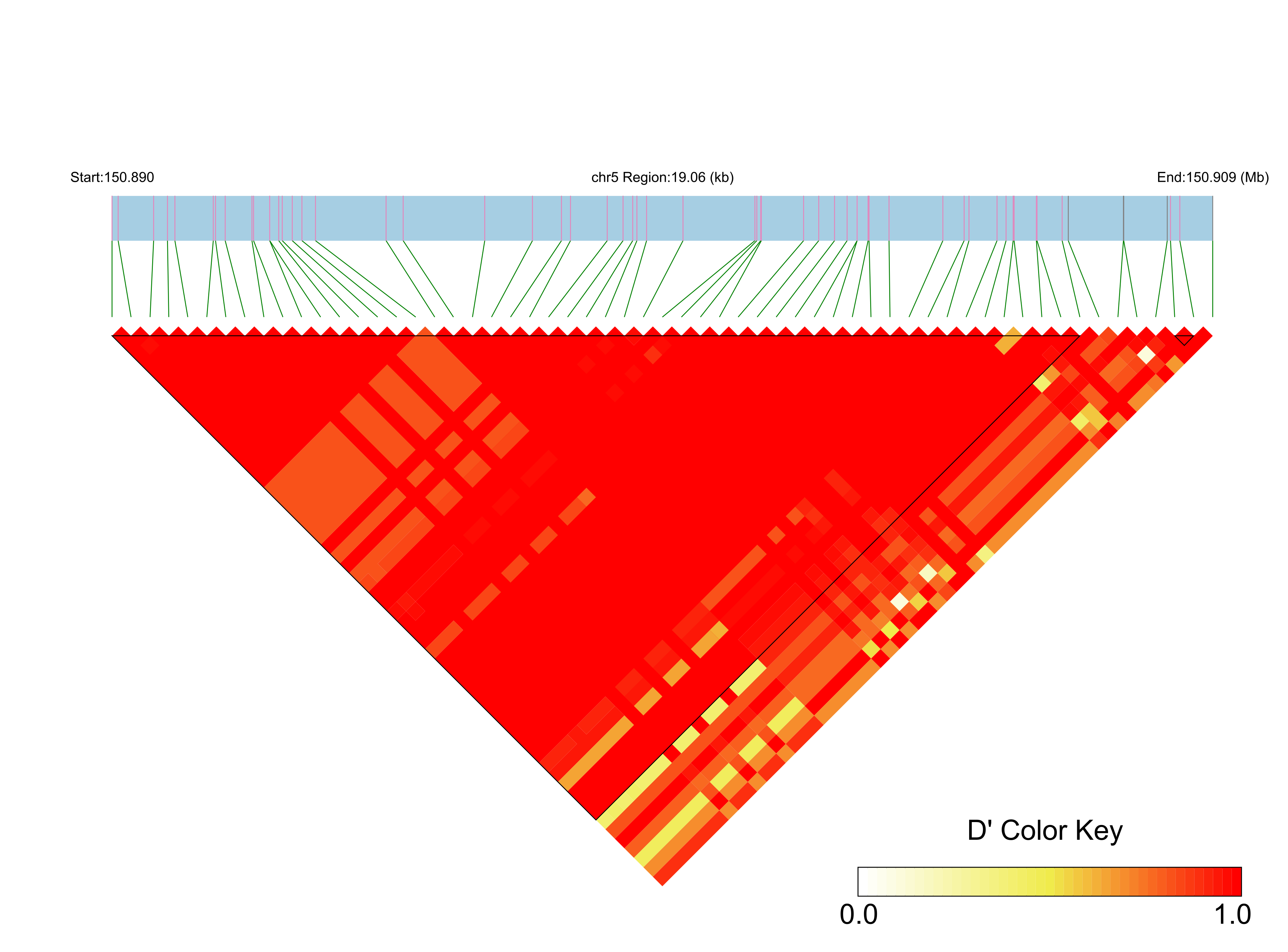 LD