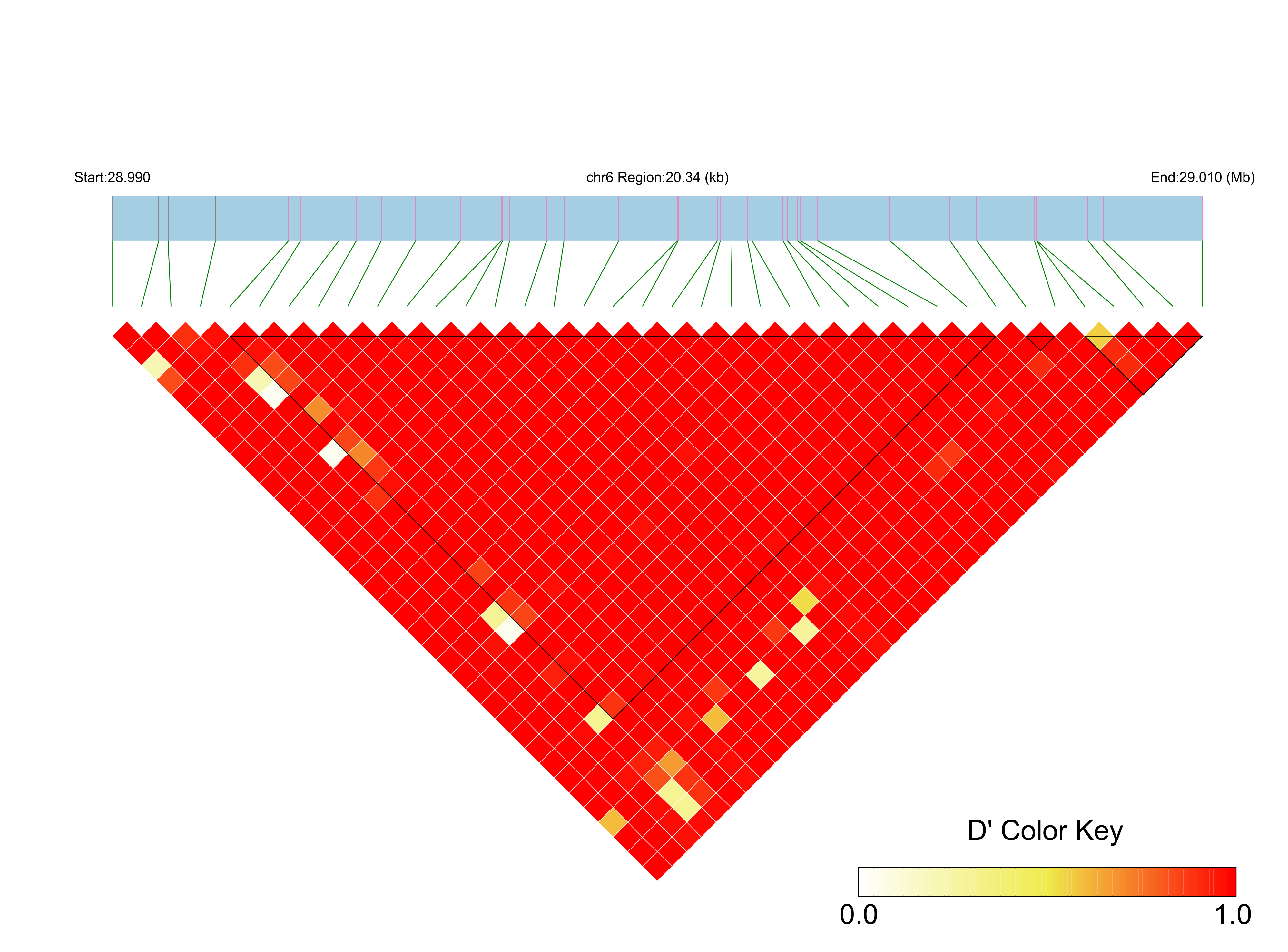 LD