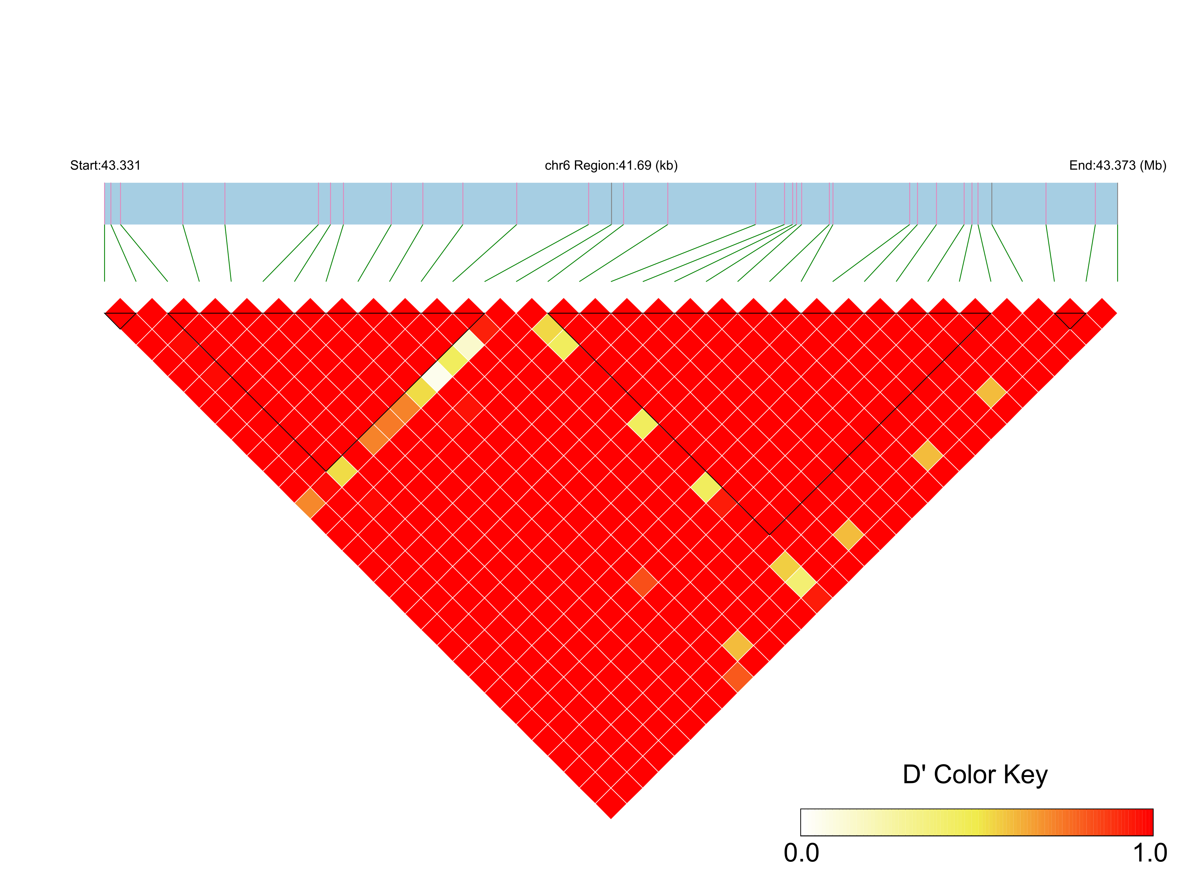 LD