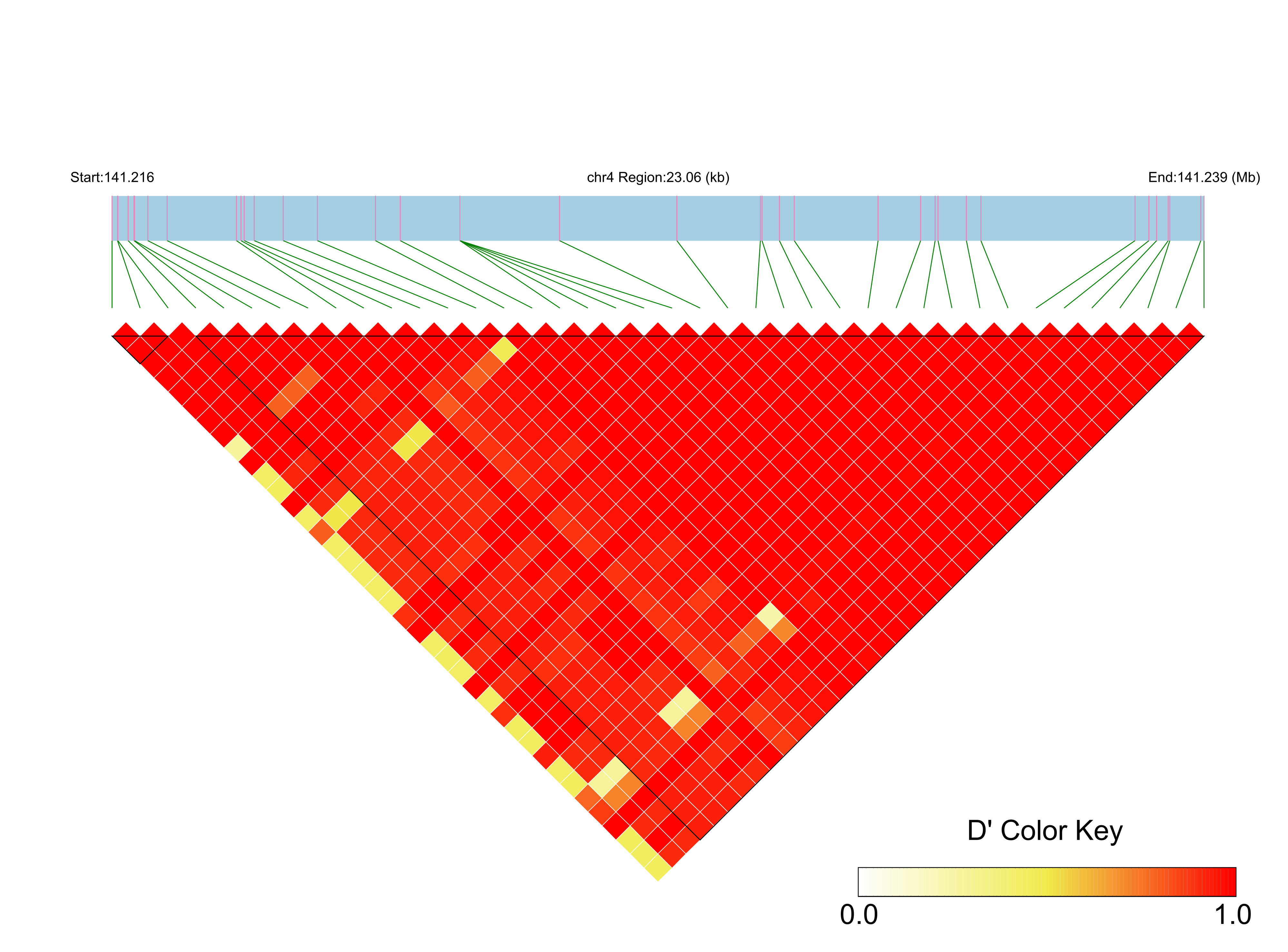 LD
