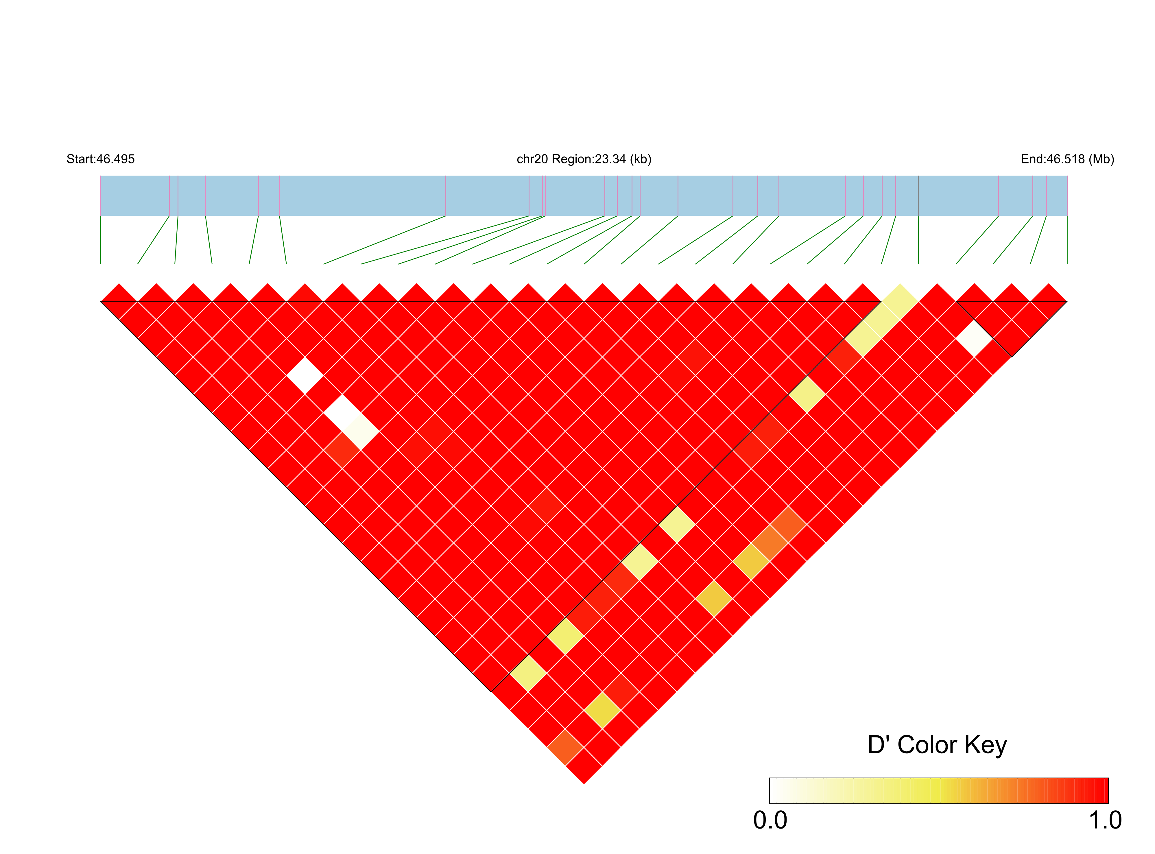 LD