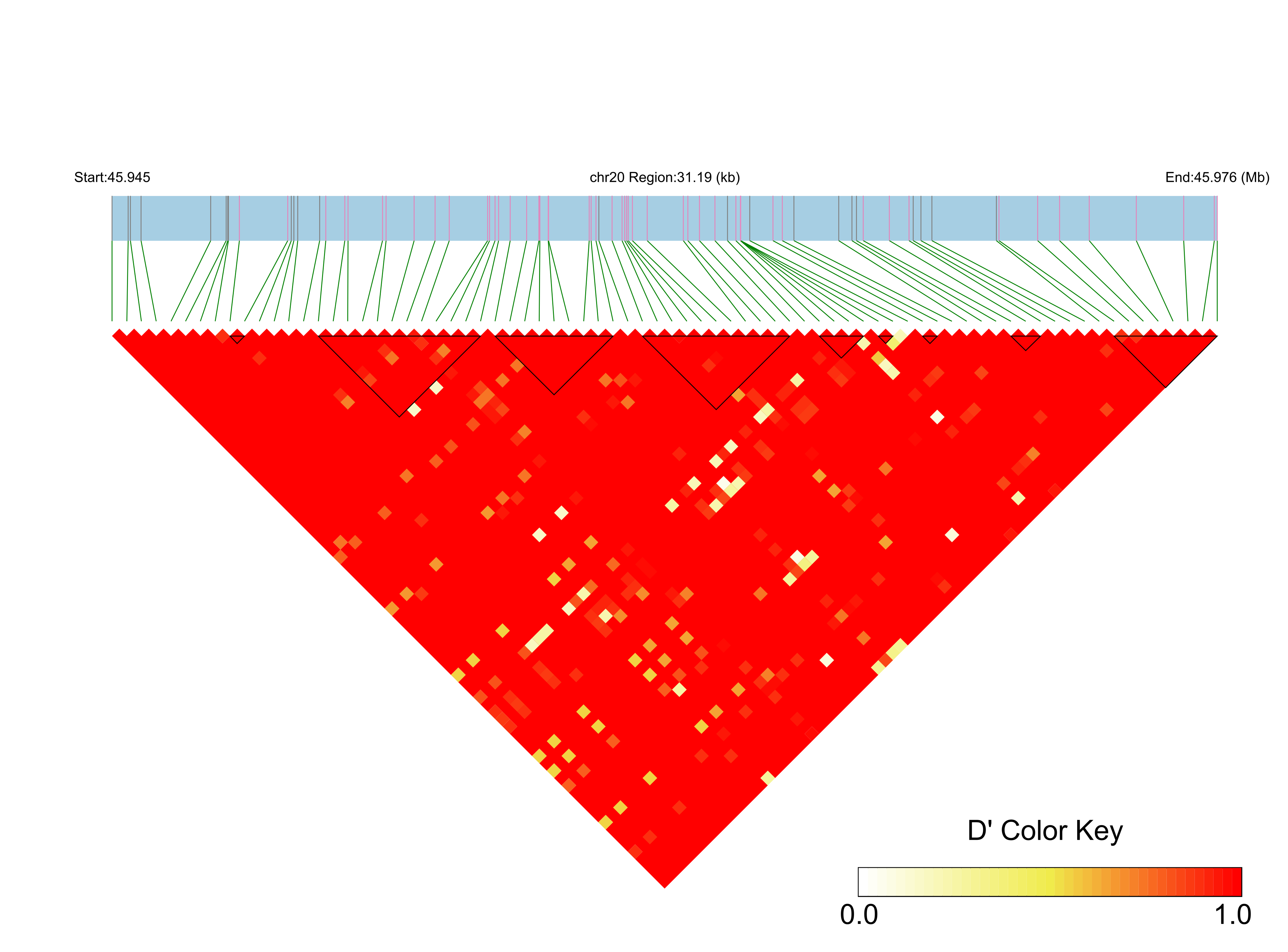 LD