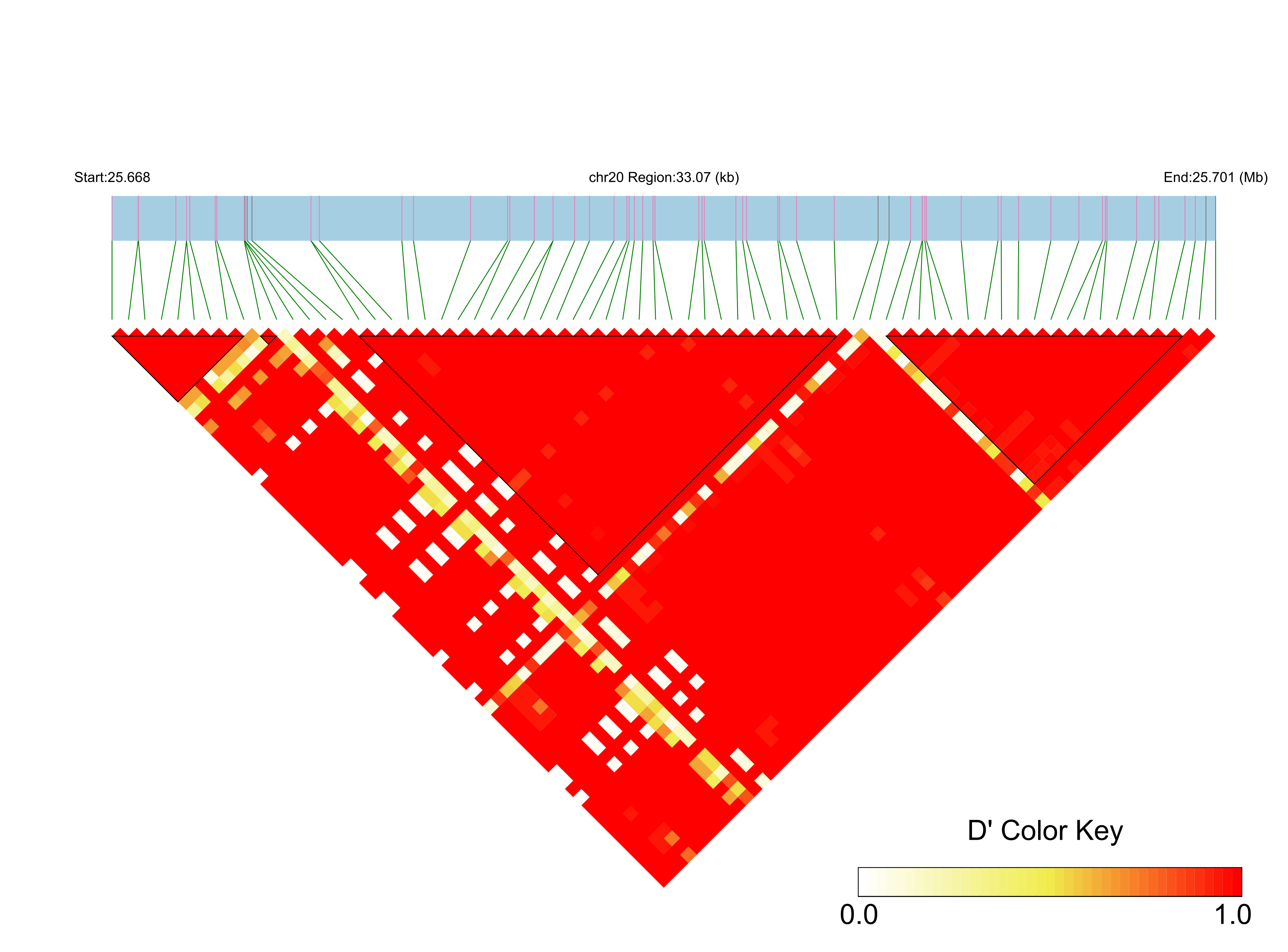 LD