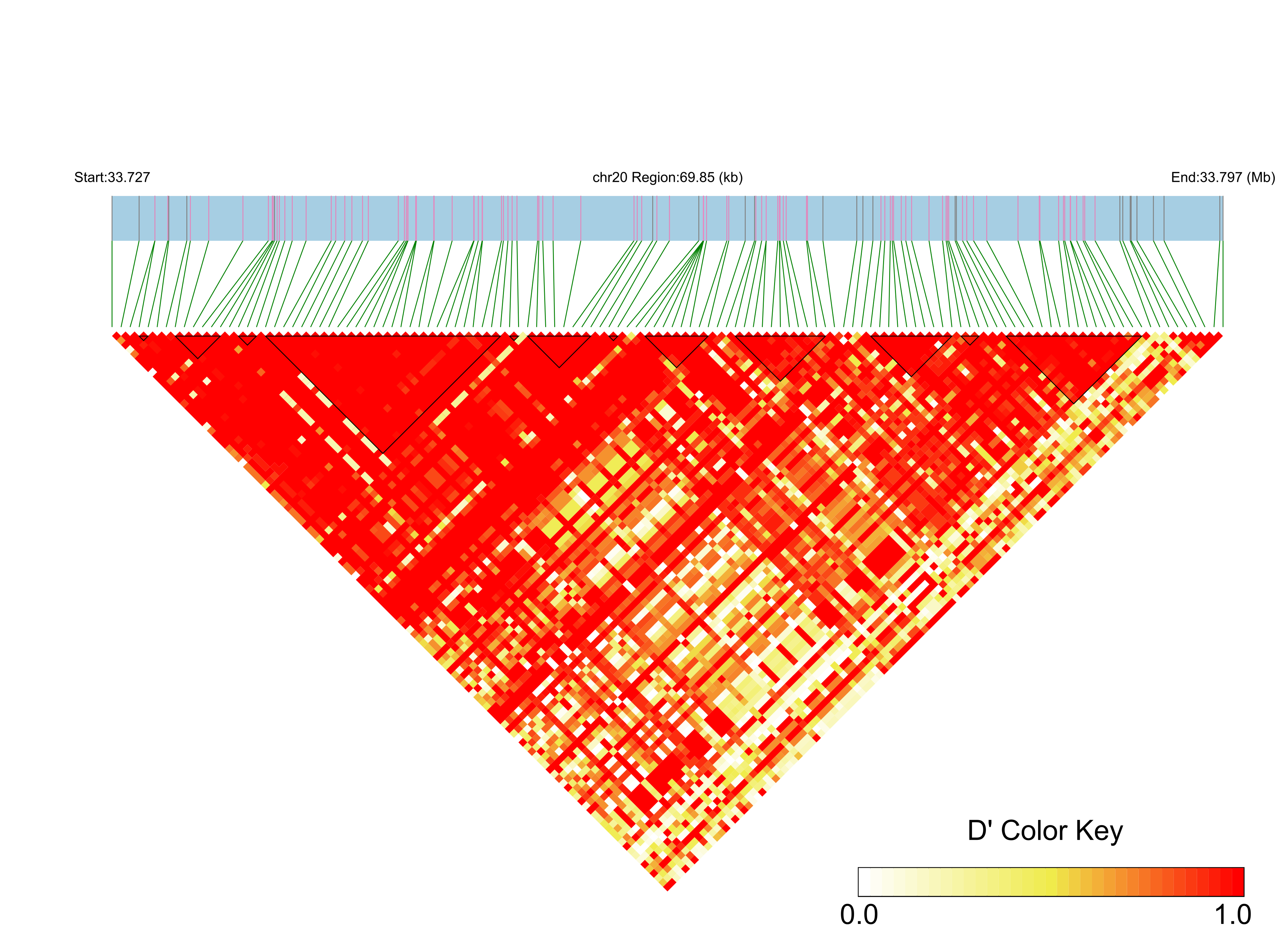 LD