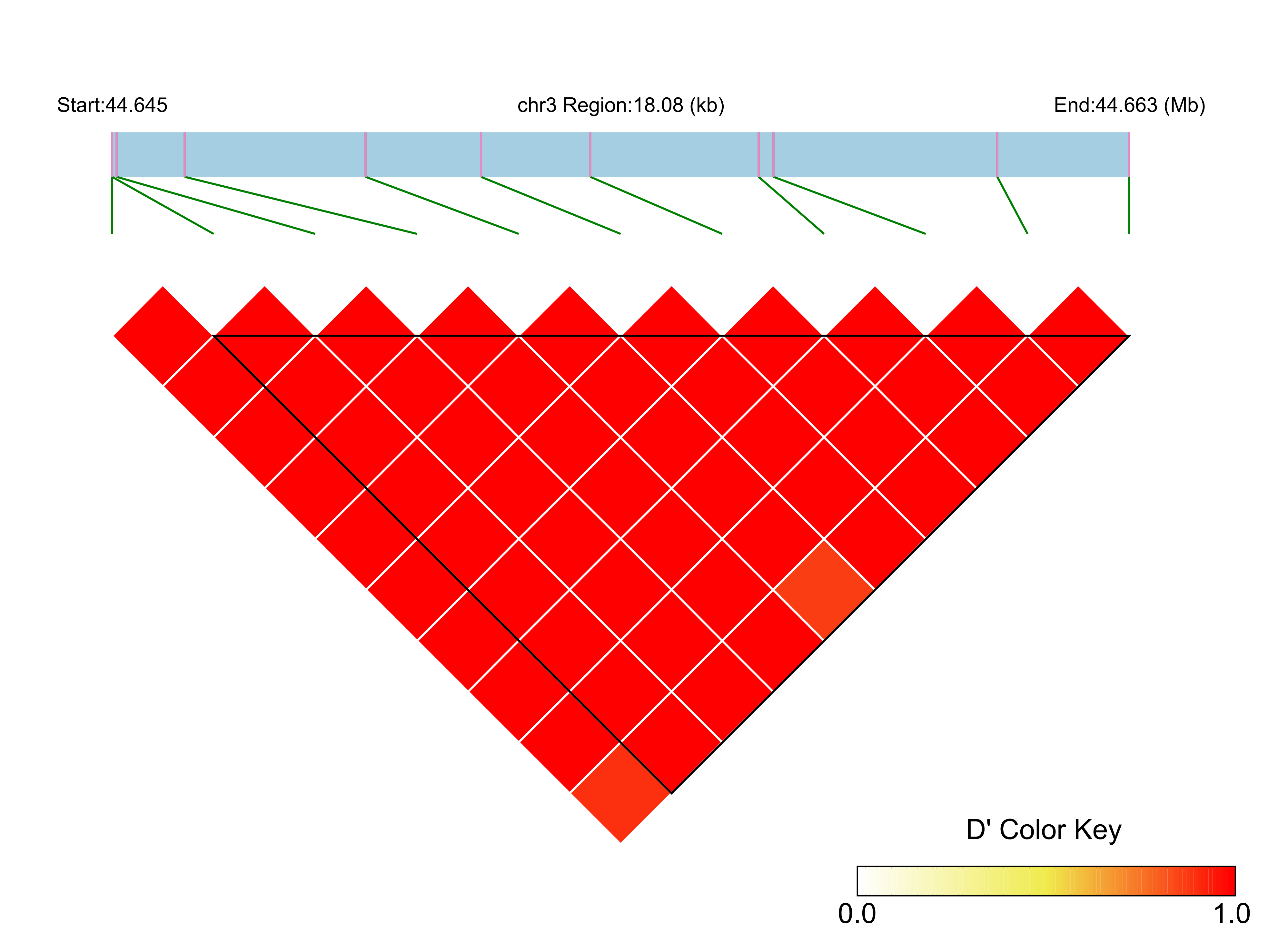 LD
