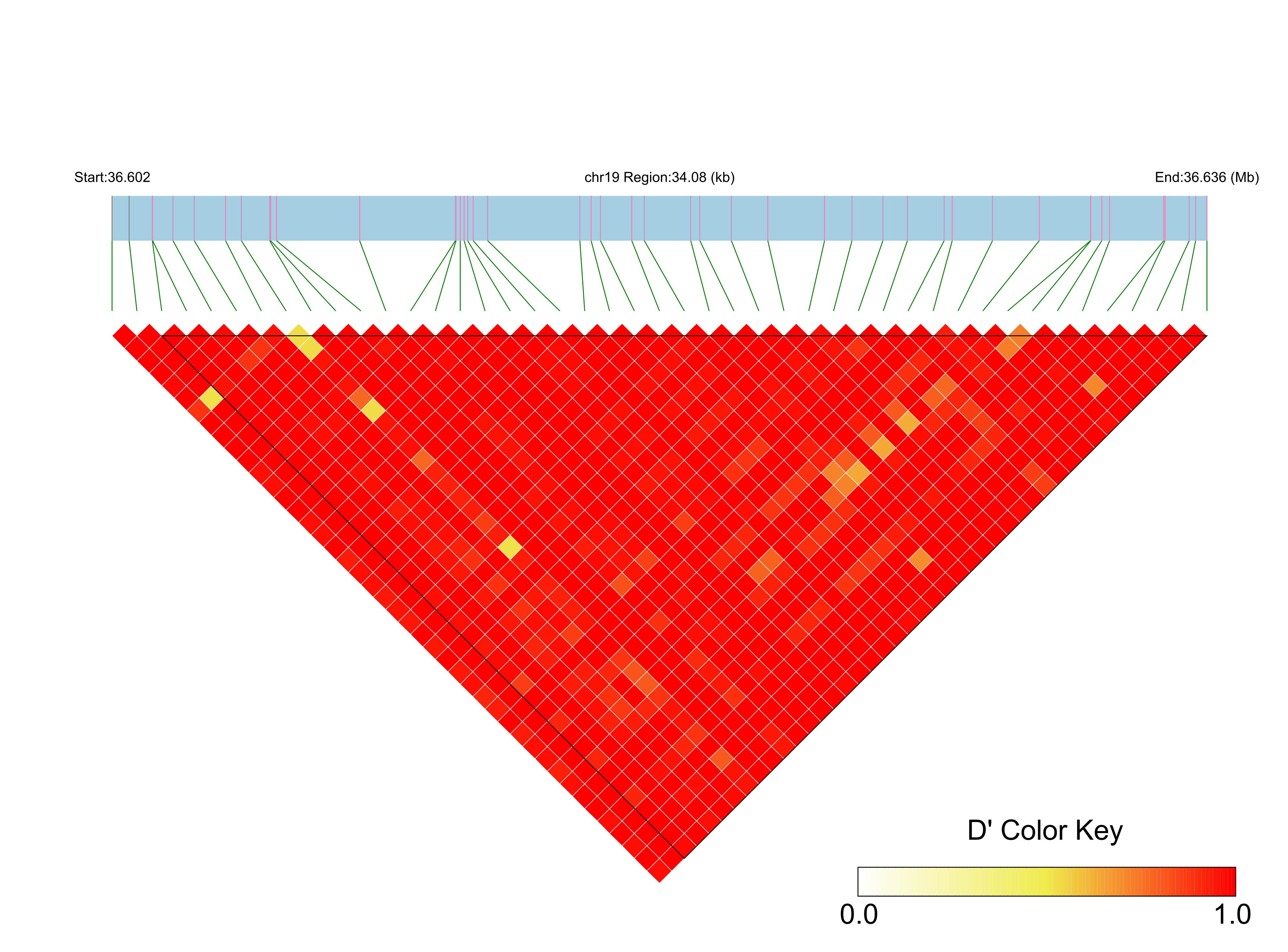 LD