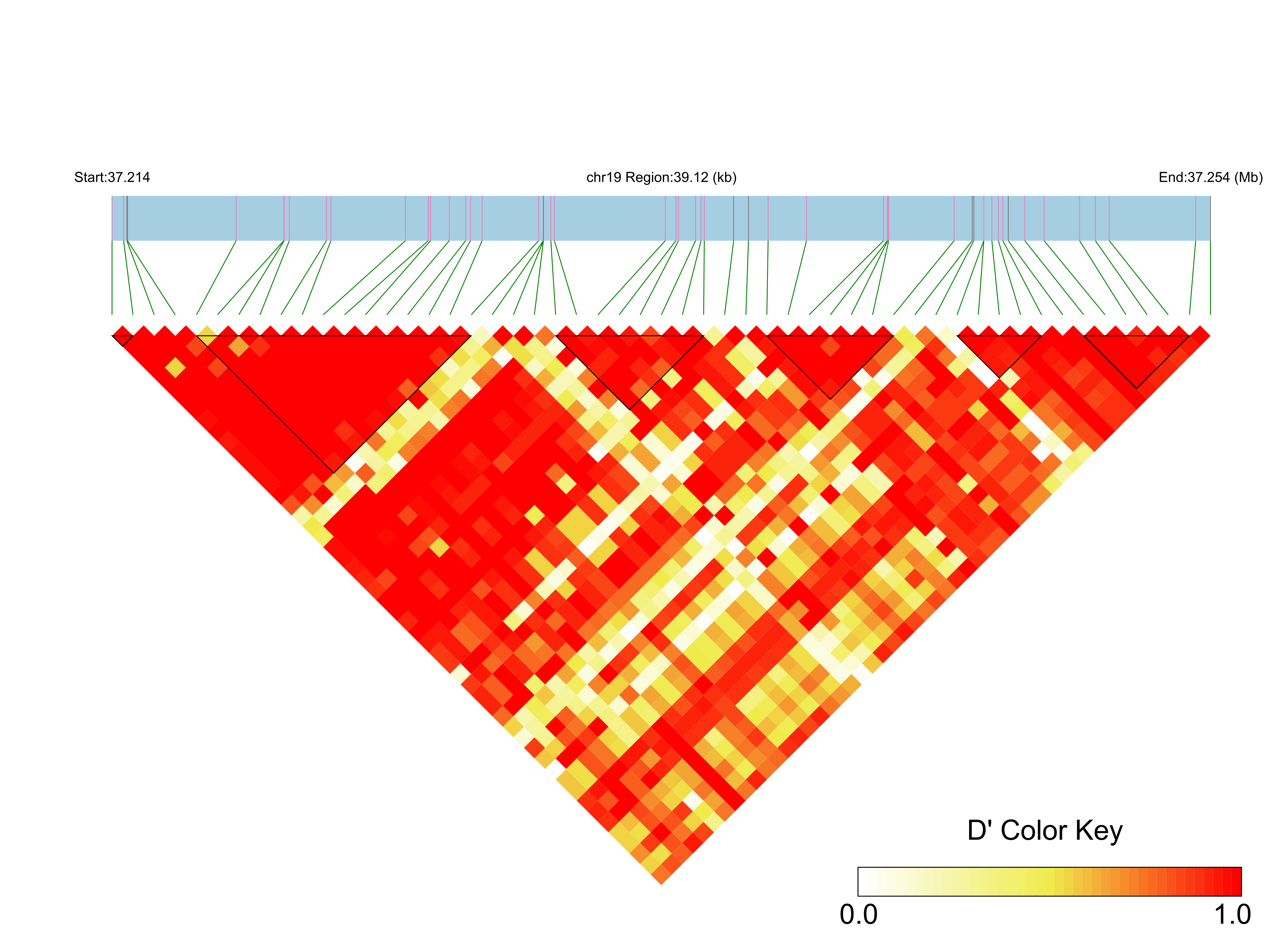 LD